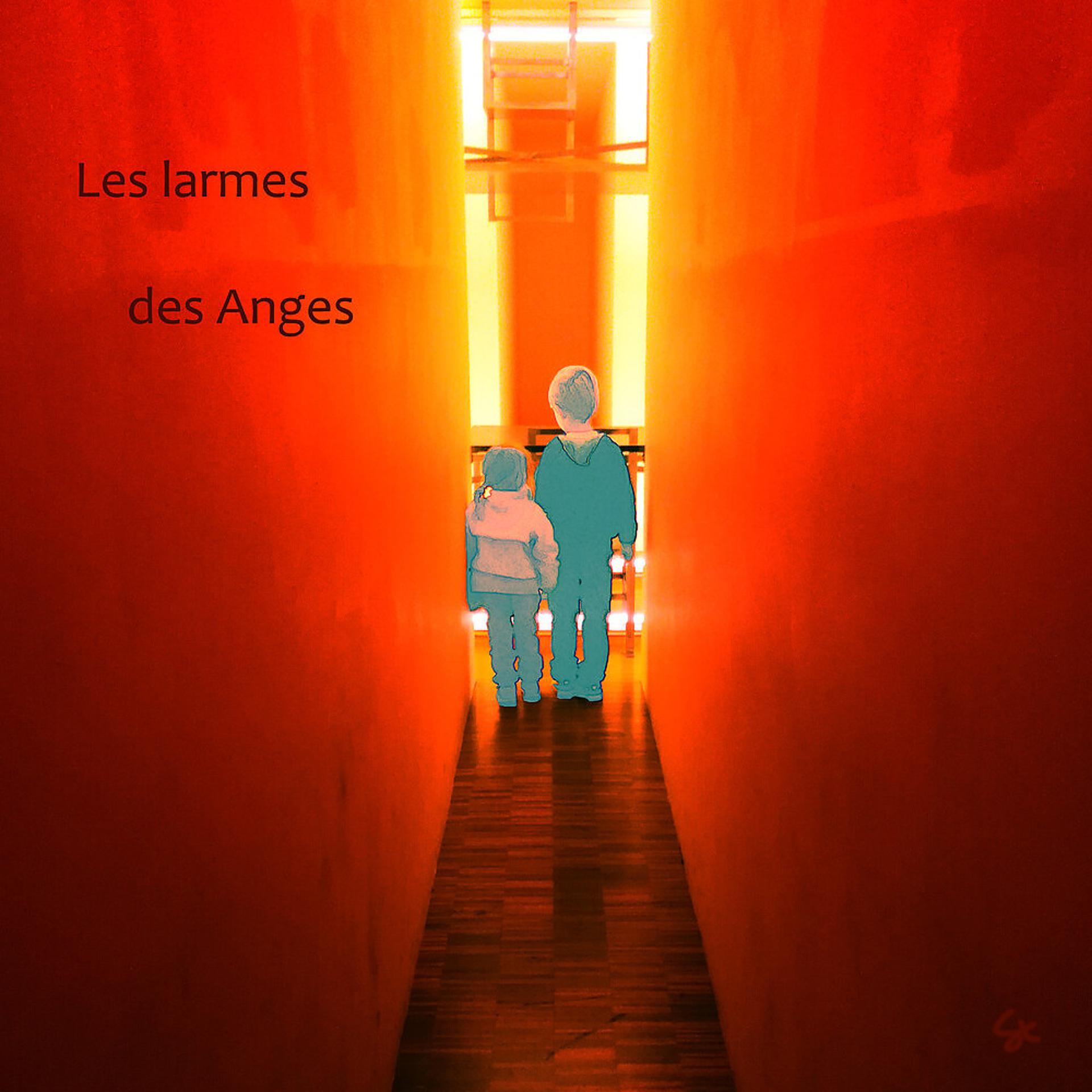 Постер альбома Les larmes des anges