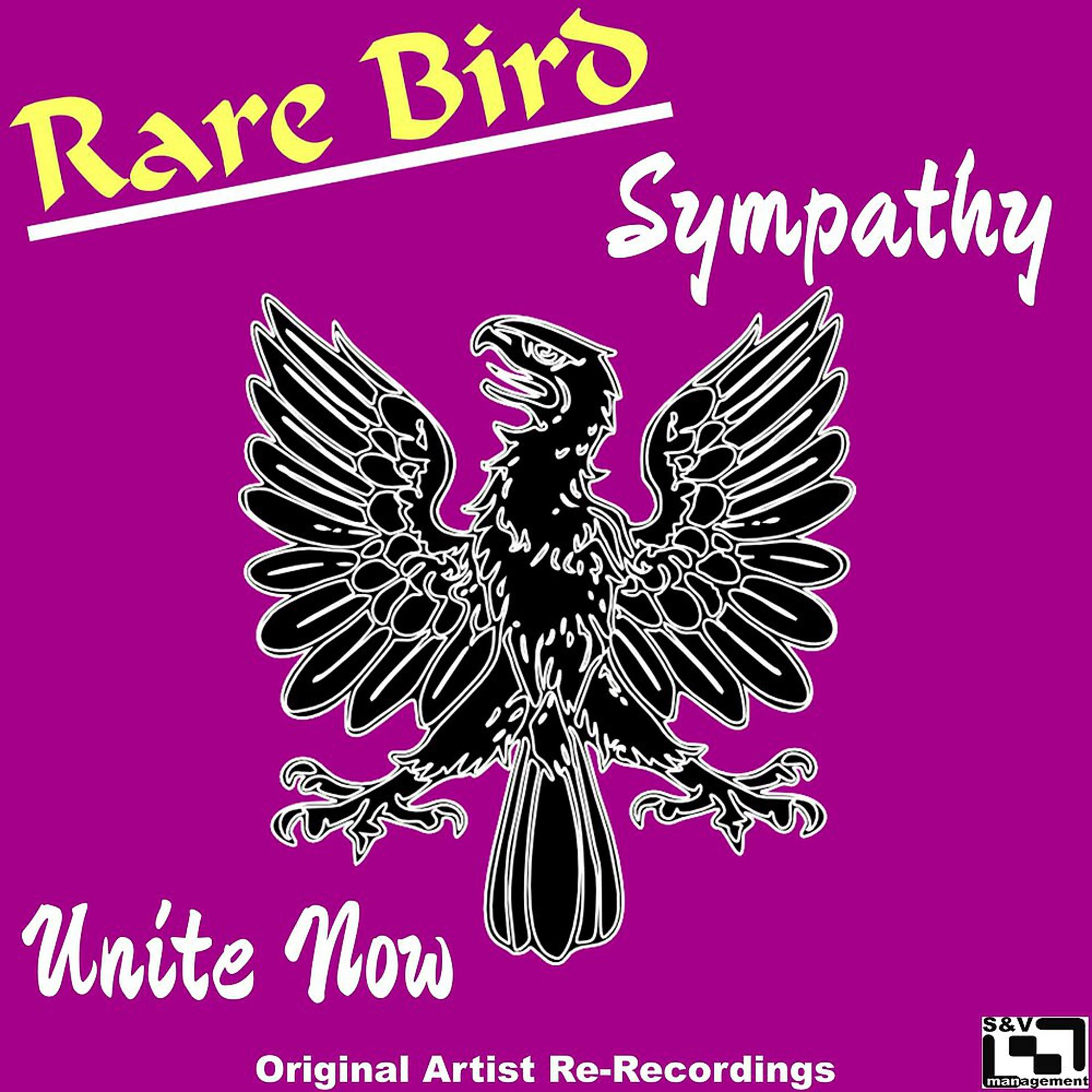 Birds unity. Sympathy rare Bird. Sympathy (rare Bird Song). Rare Bird Sympathy обложка. Versailles - Lyrical Sympathy.