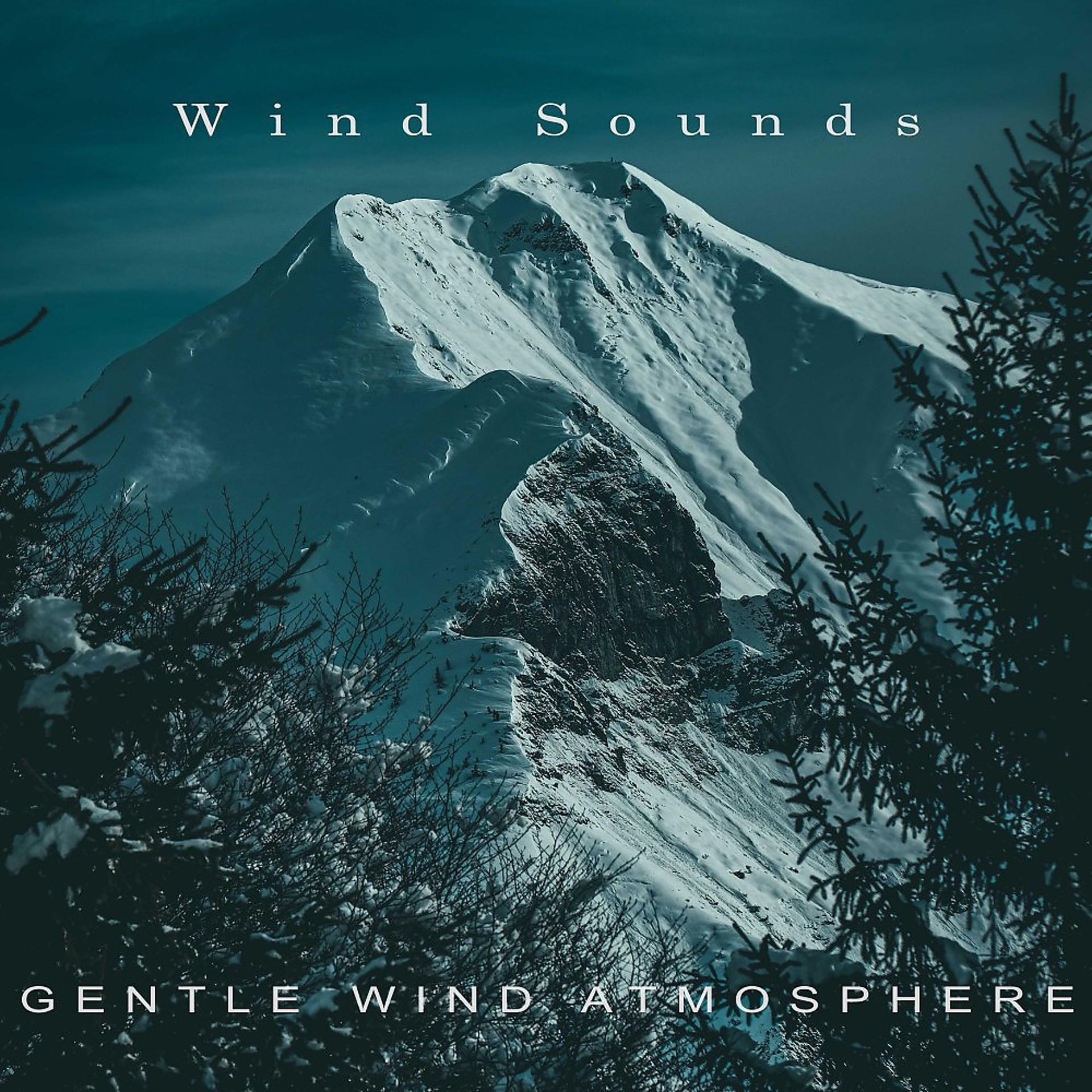 Постер альбома Gentle Wind Atmosphere