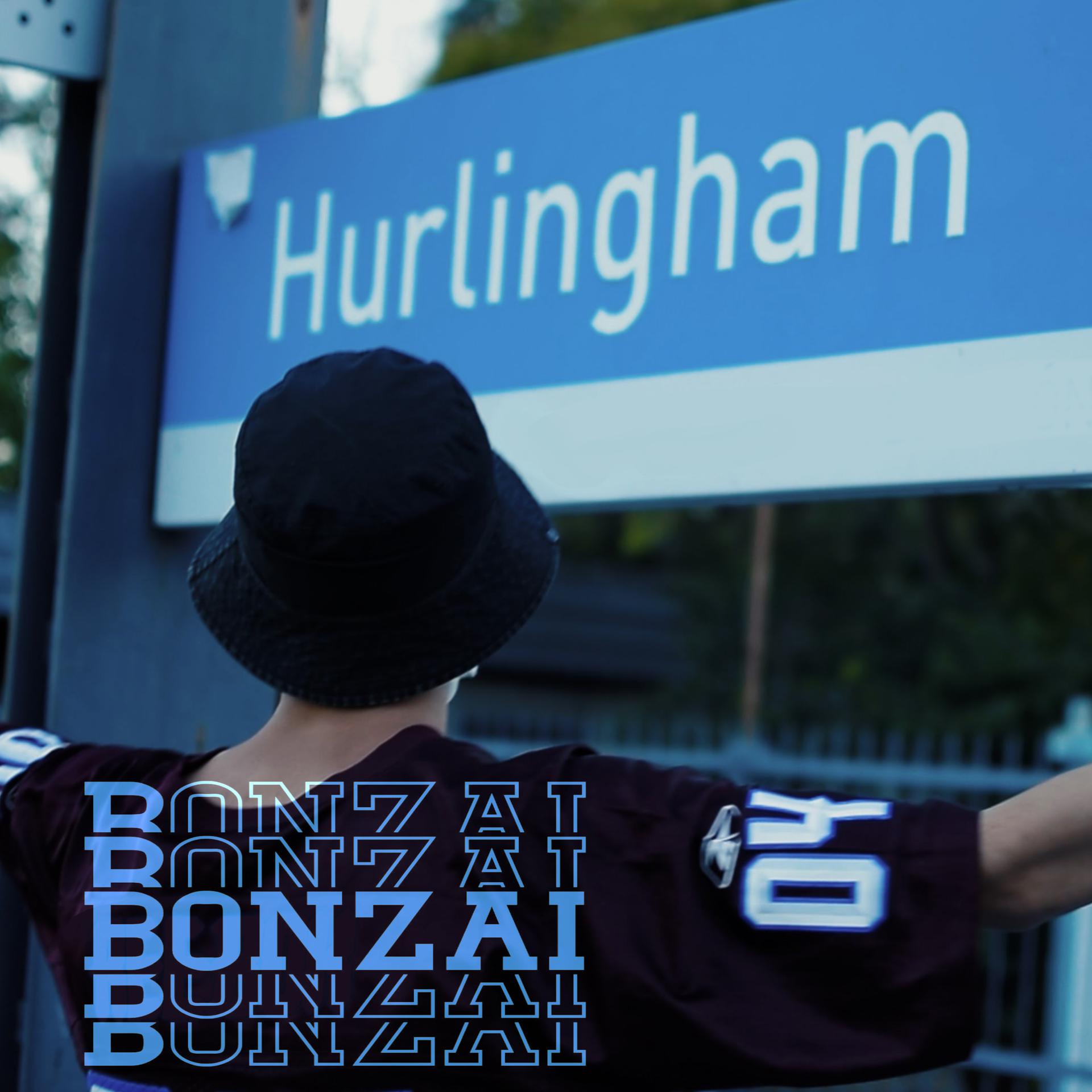 Постер альбома Hurlingham City
