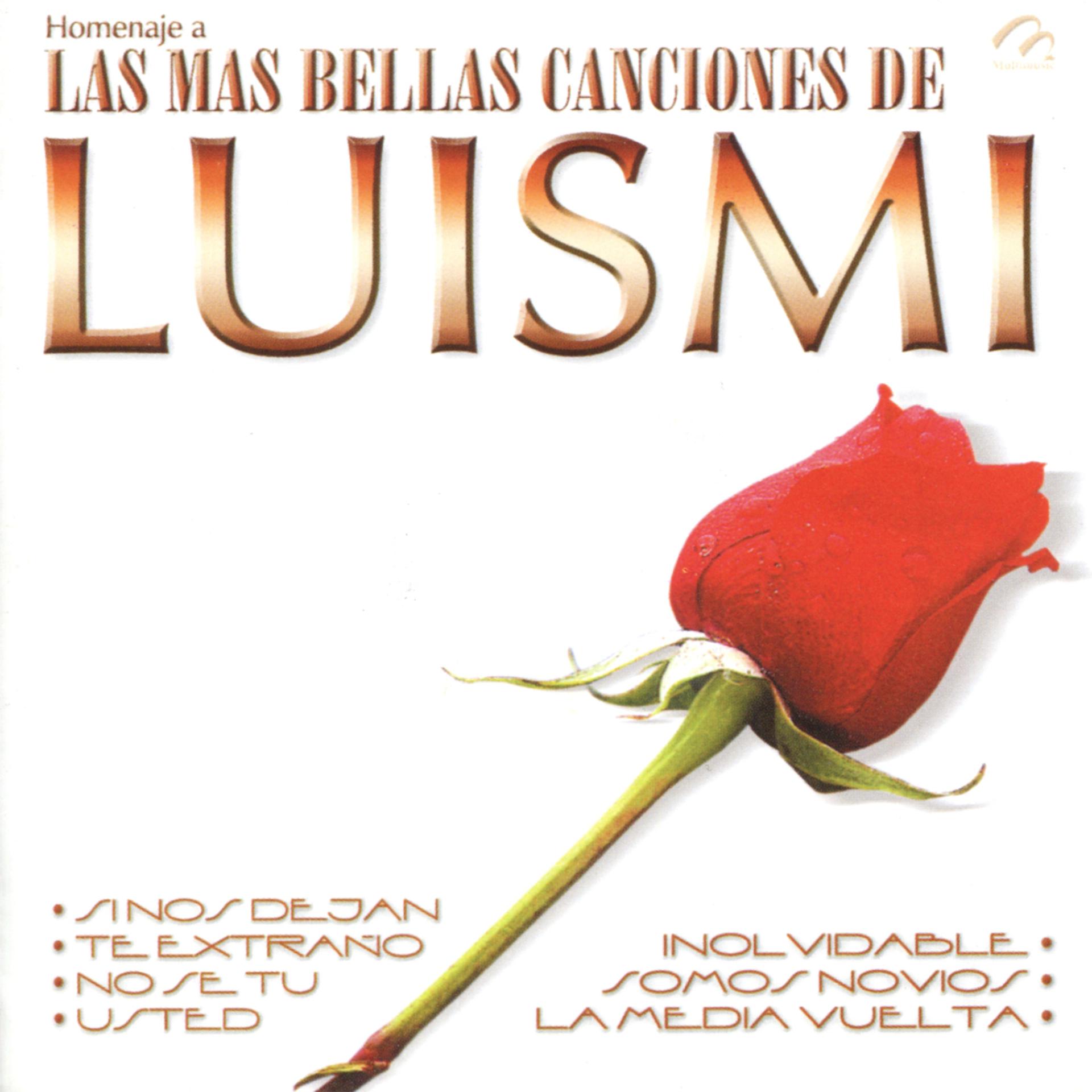 Постер альбома Las Mas Bellas Canciones de Luismi Coleccion Grandes Homenajes