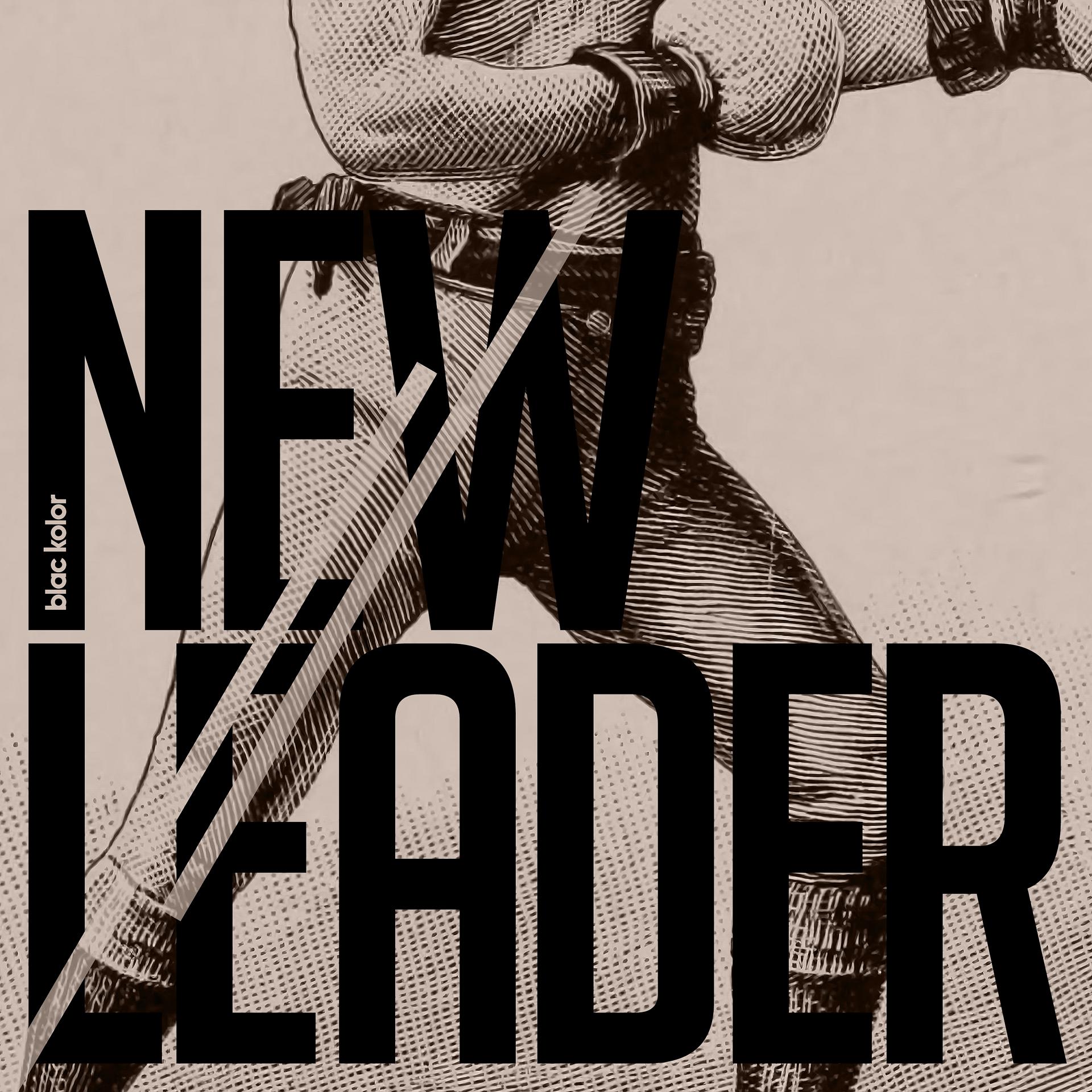 Постер альбома New Leader