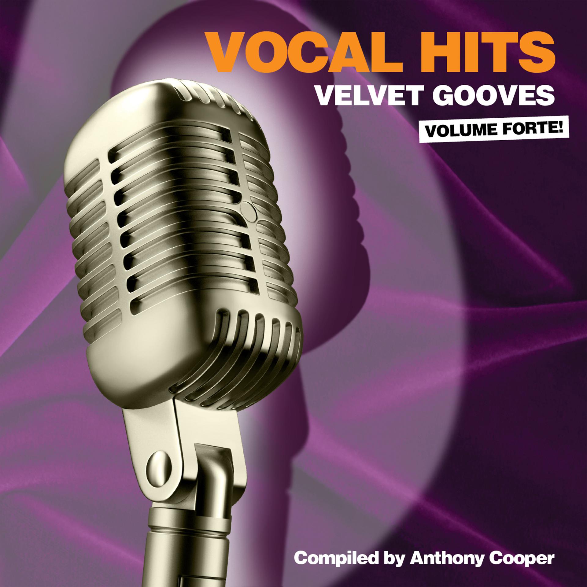 Постер альбома Vocal Hits Velvet Grooves Volume Forte!