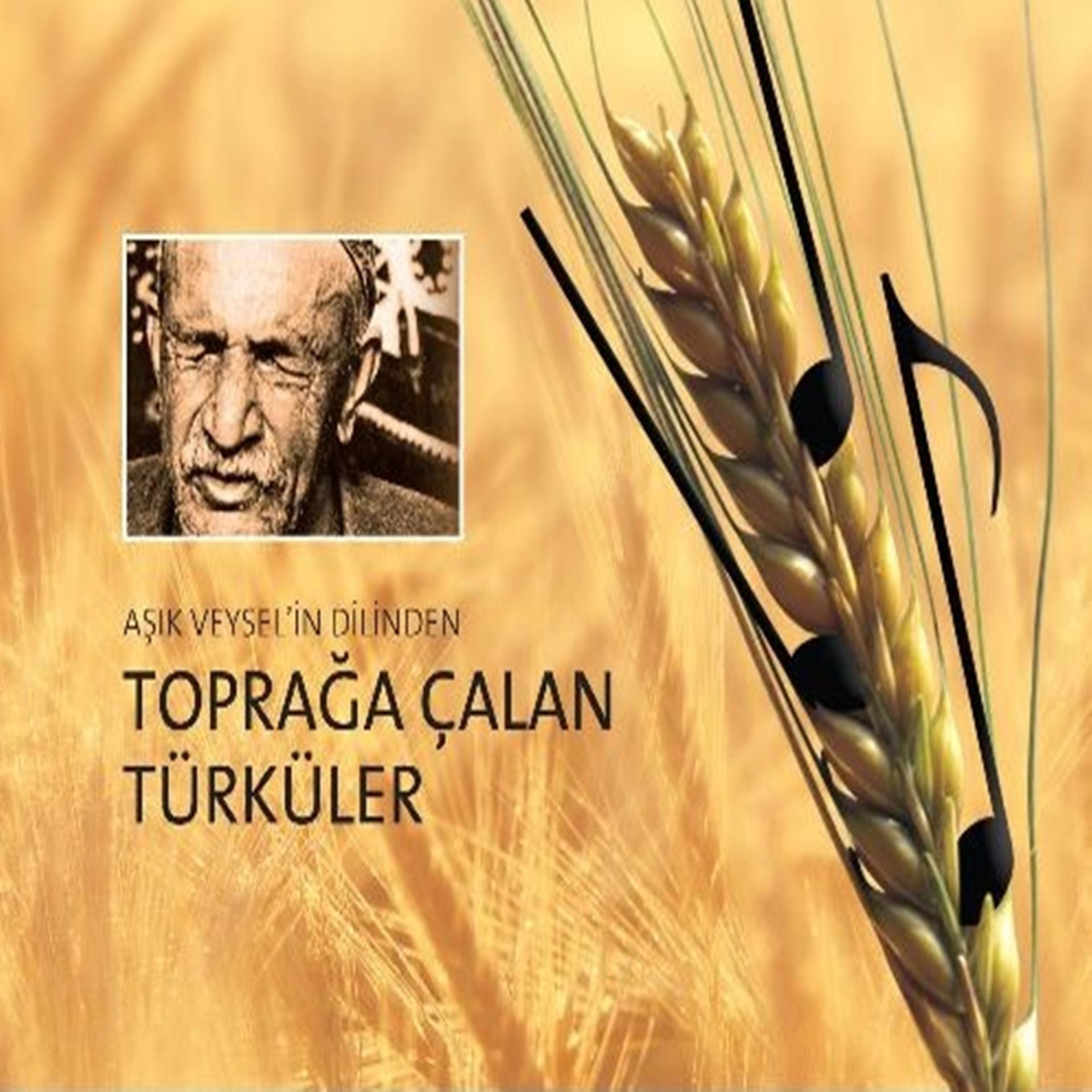 Постер альбома Toprağa Çalan Türküler