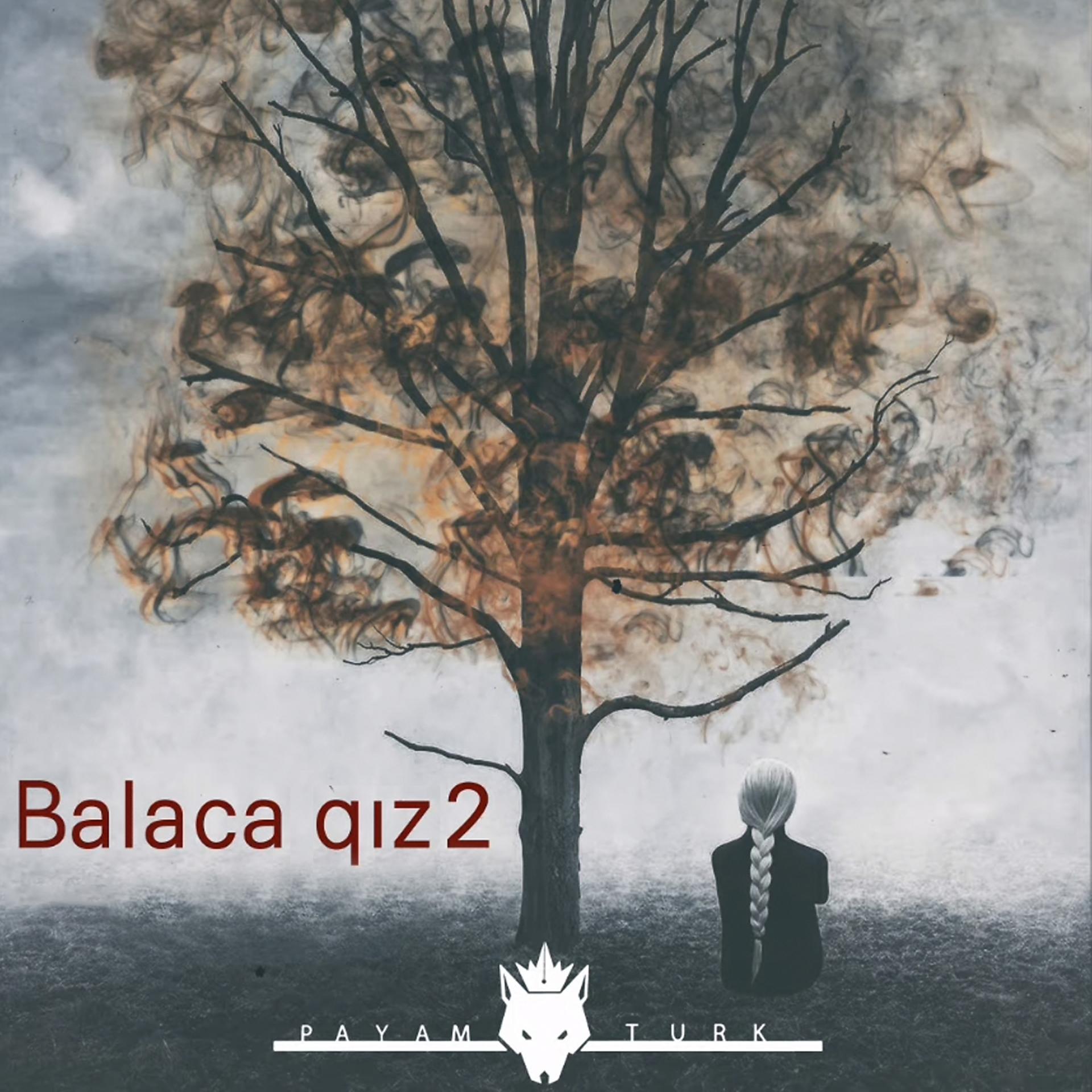 Постер альбома Balaca Qız 2