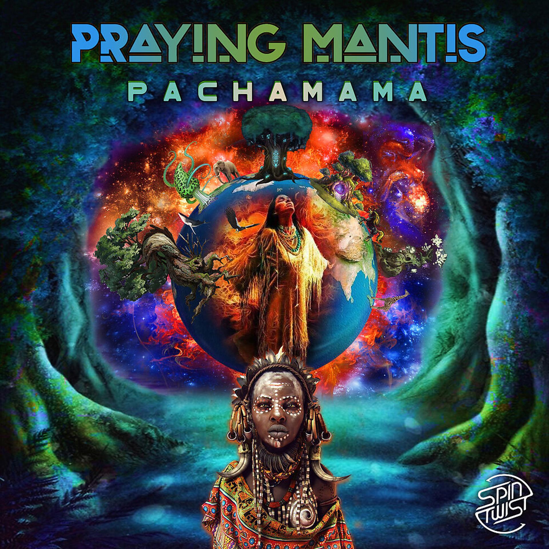 Постер альбома Pachamama