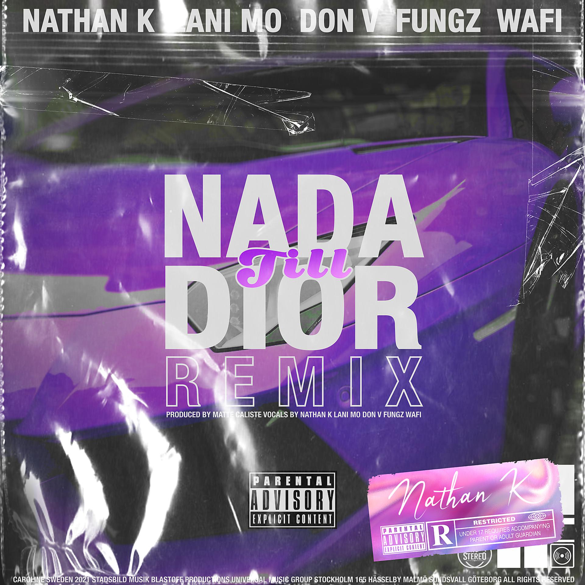 Постер альбома Nada till Dior