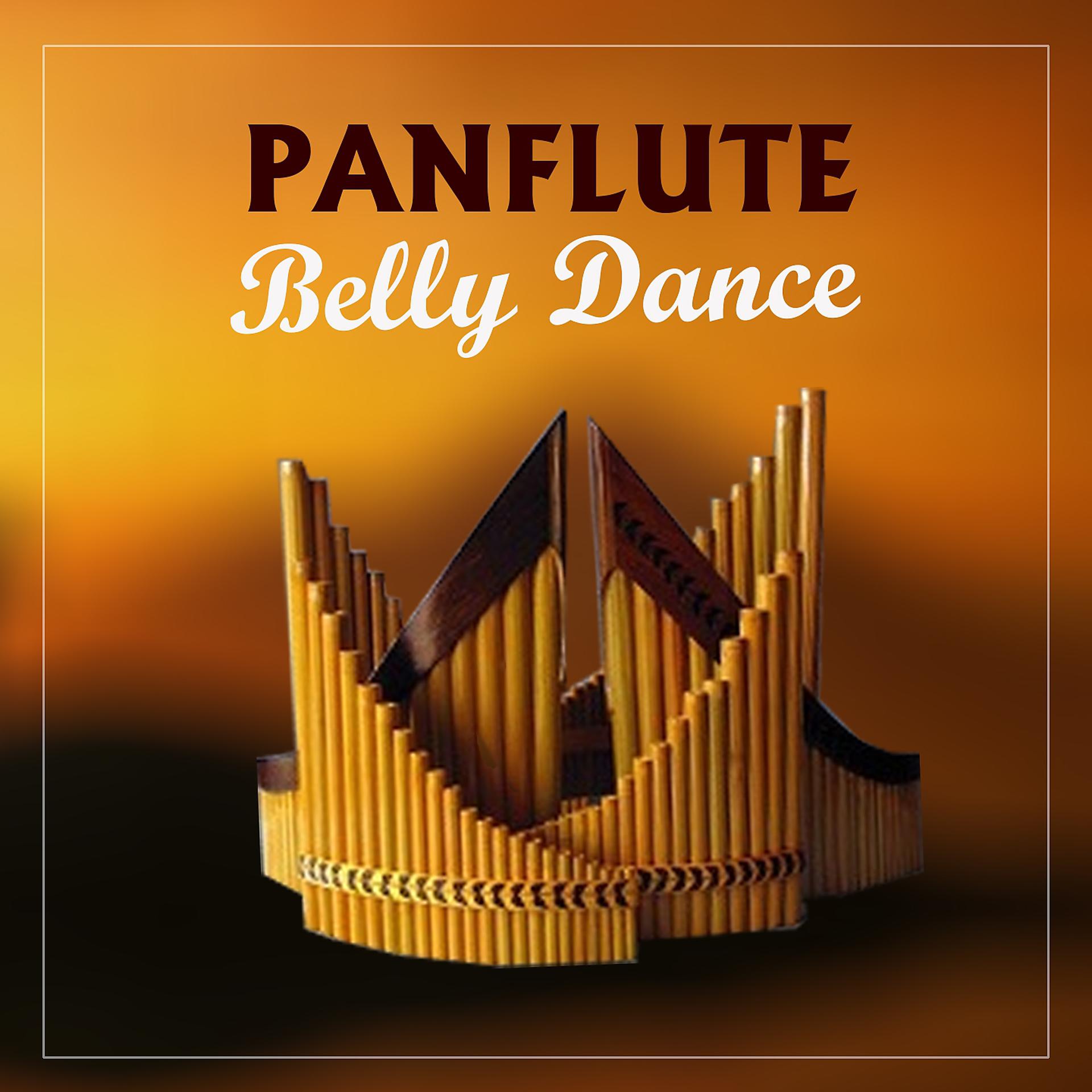 Постер альбома Panflute Belly Dance