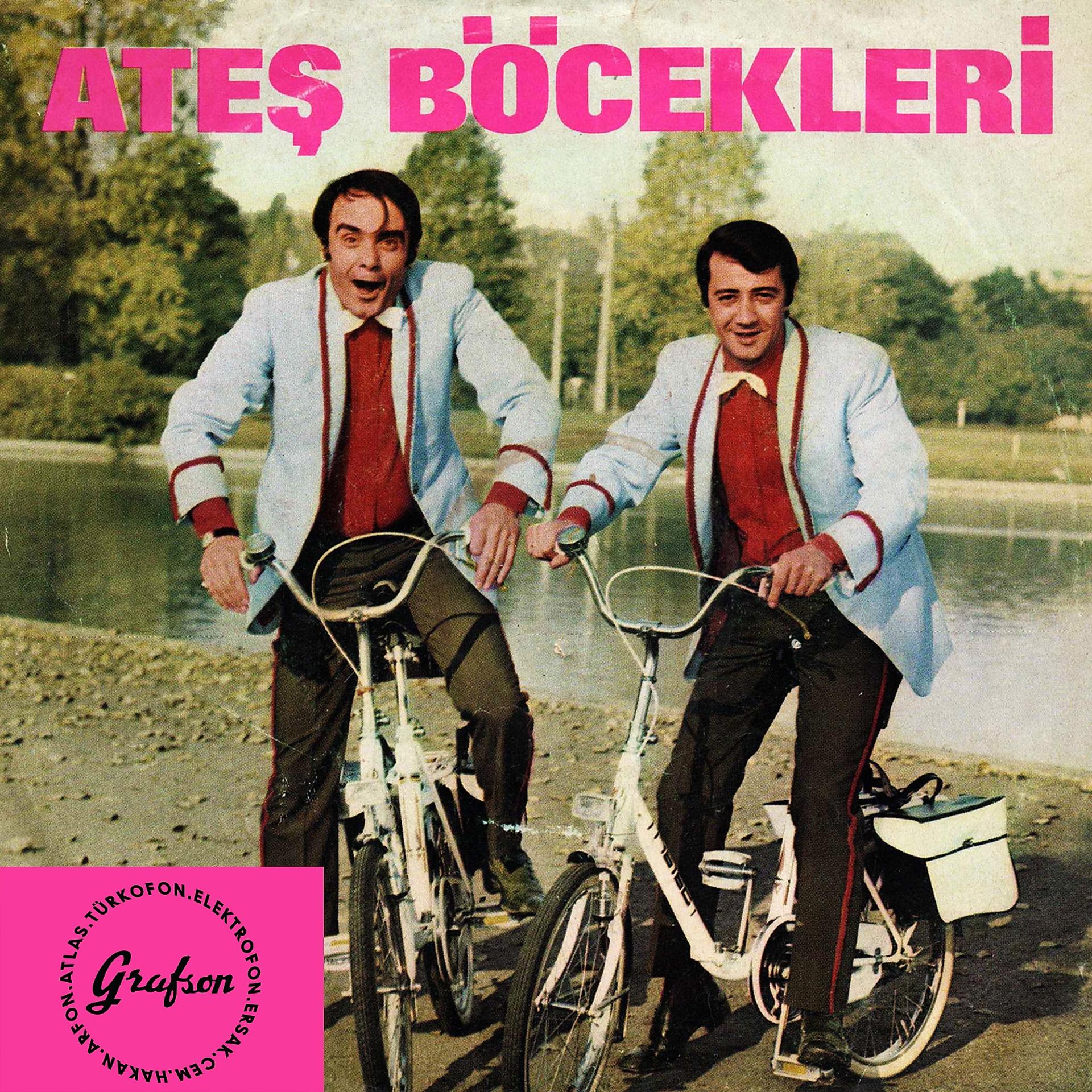 Постер альбома Ateş Böcekleri ve Özel Orkestrası
