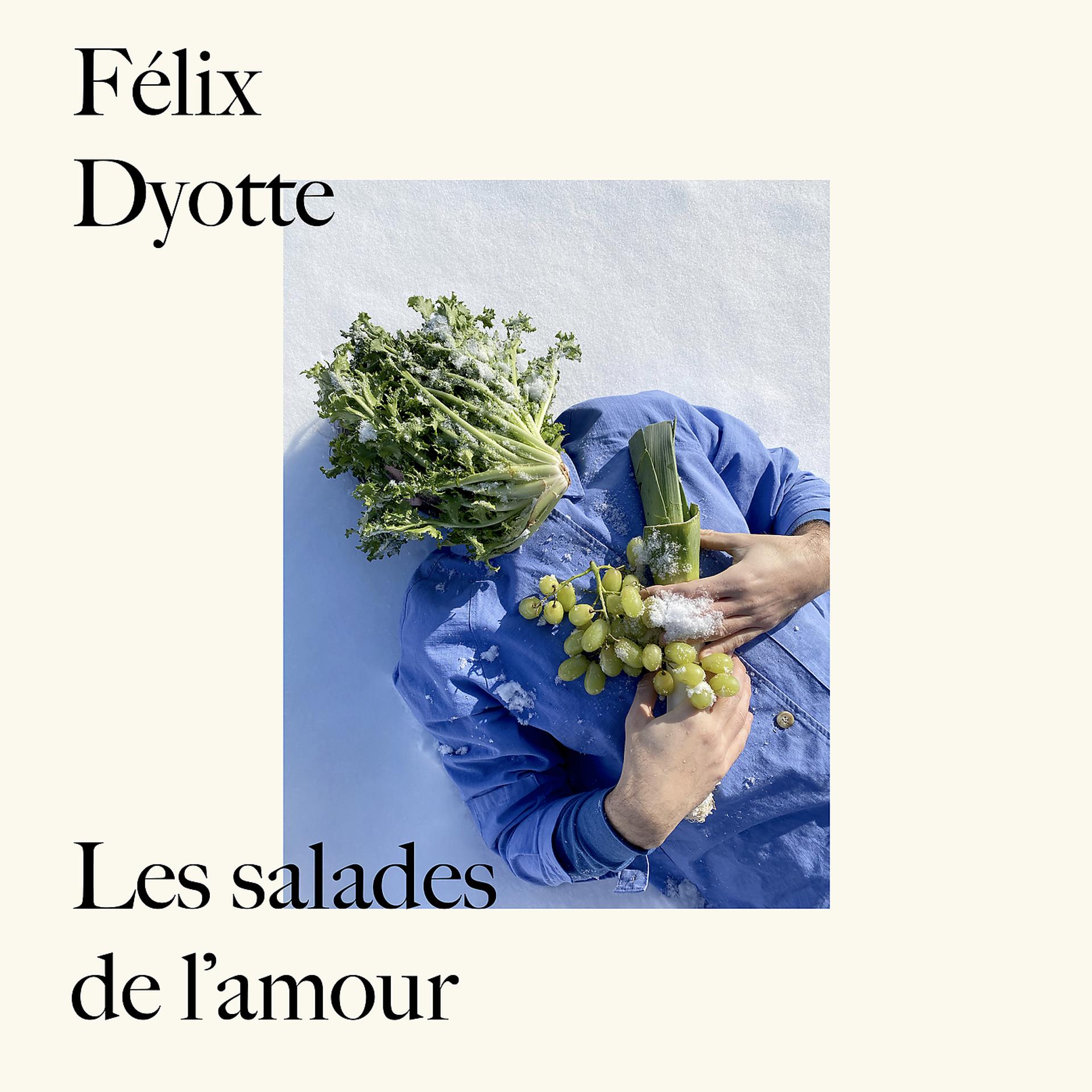 Постер альбома Les salades de l'amour