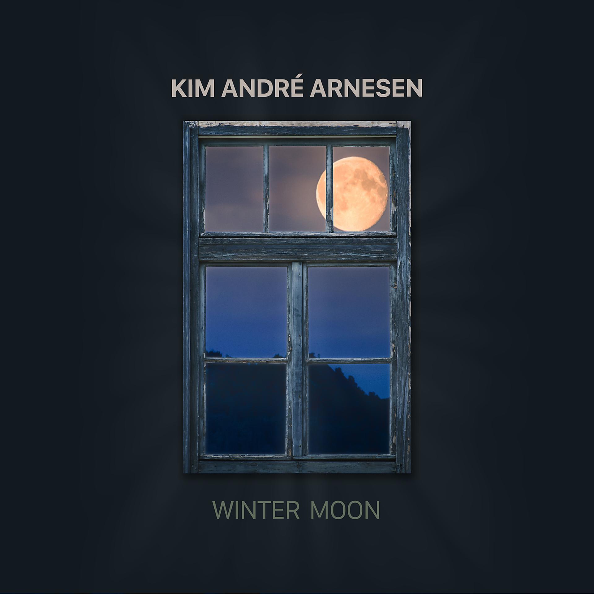 Постер альбома Arnesen: Winter Moon