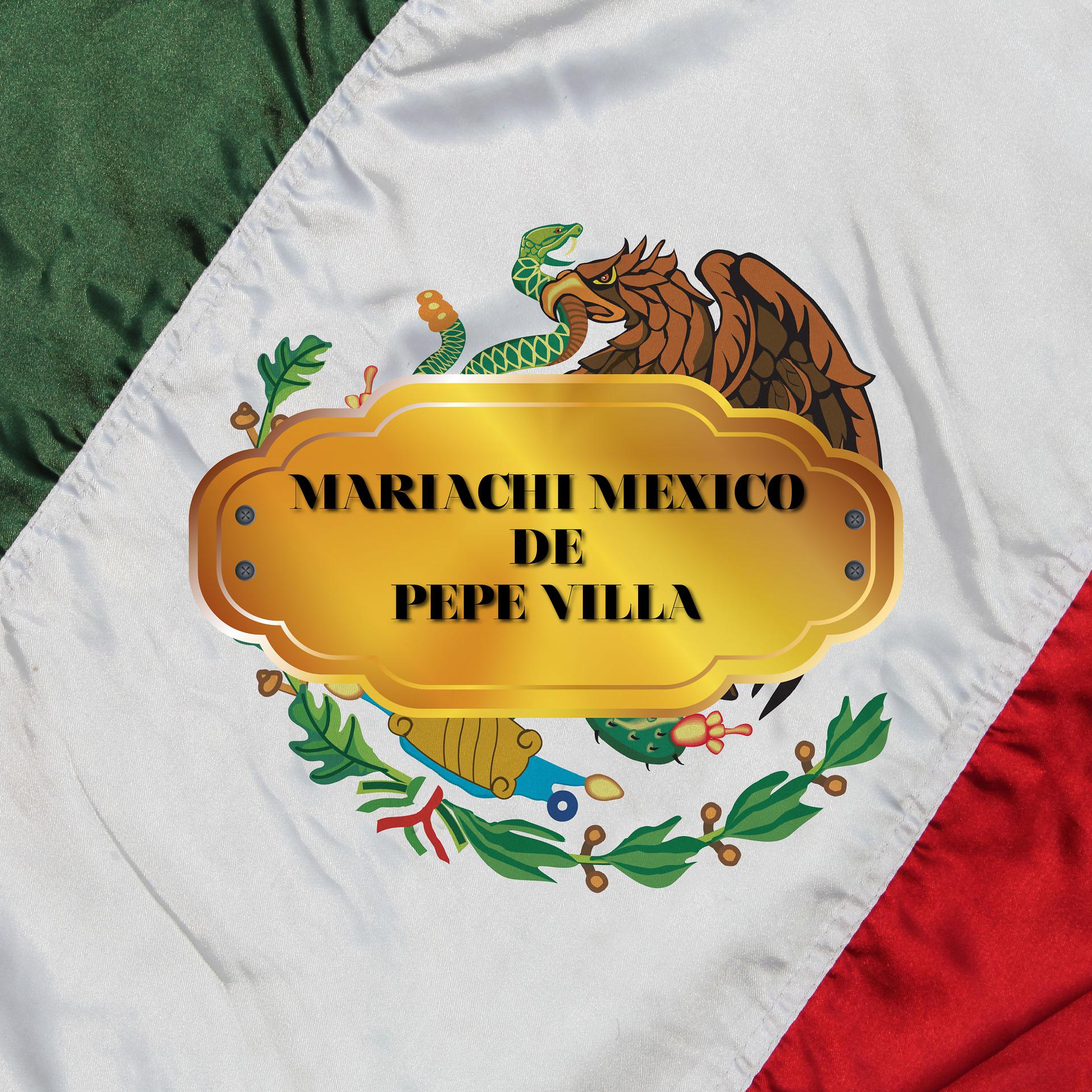 Постер альбома Instrumental Mariachi Mexico de Pepe Villa