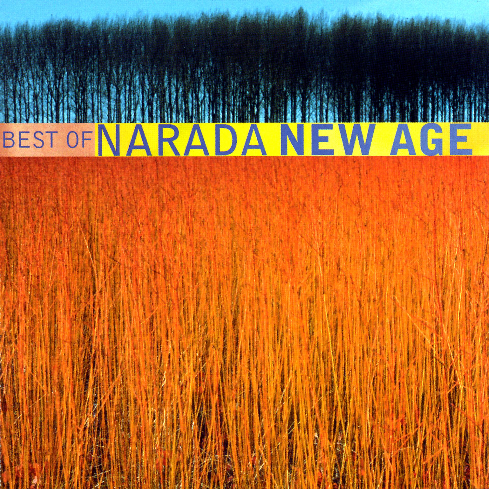Постер альбома Best Of Narada New Age