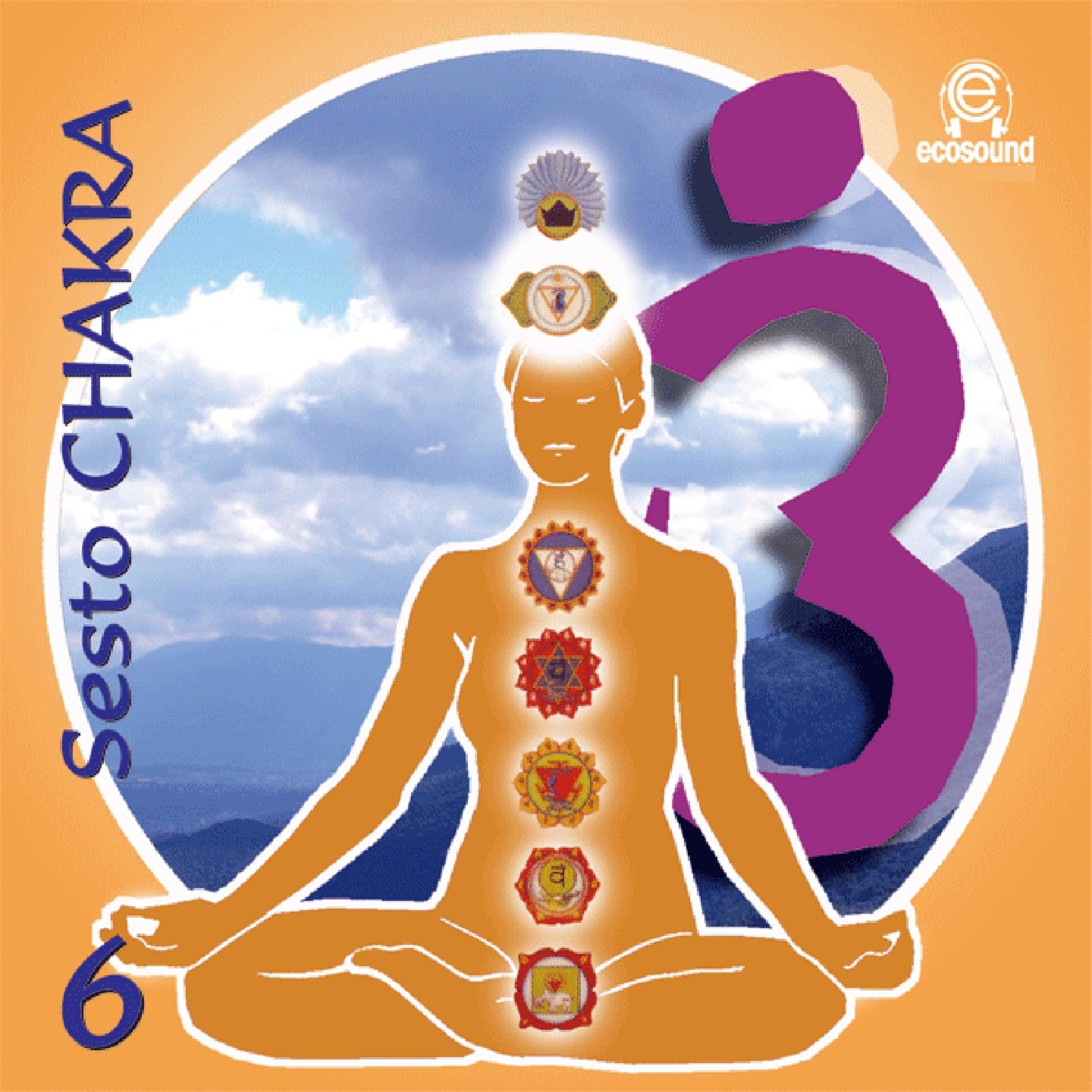 Постер альбома Sesto Chakra, vol. 6