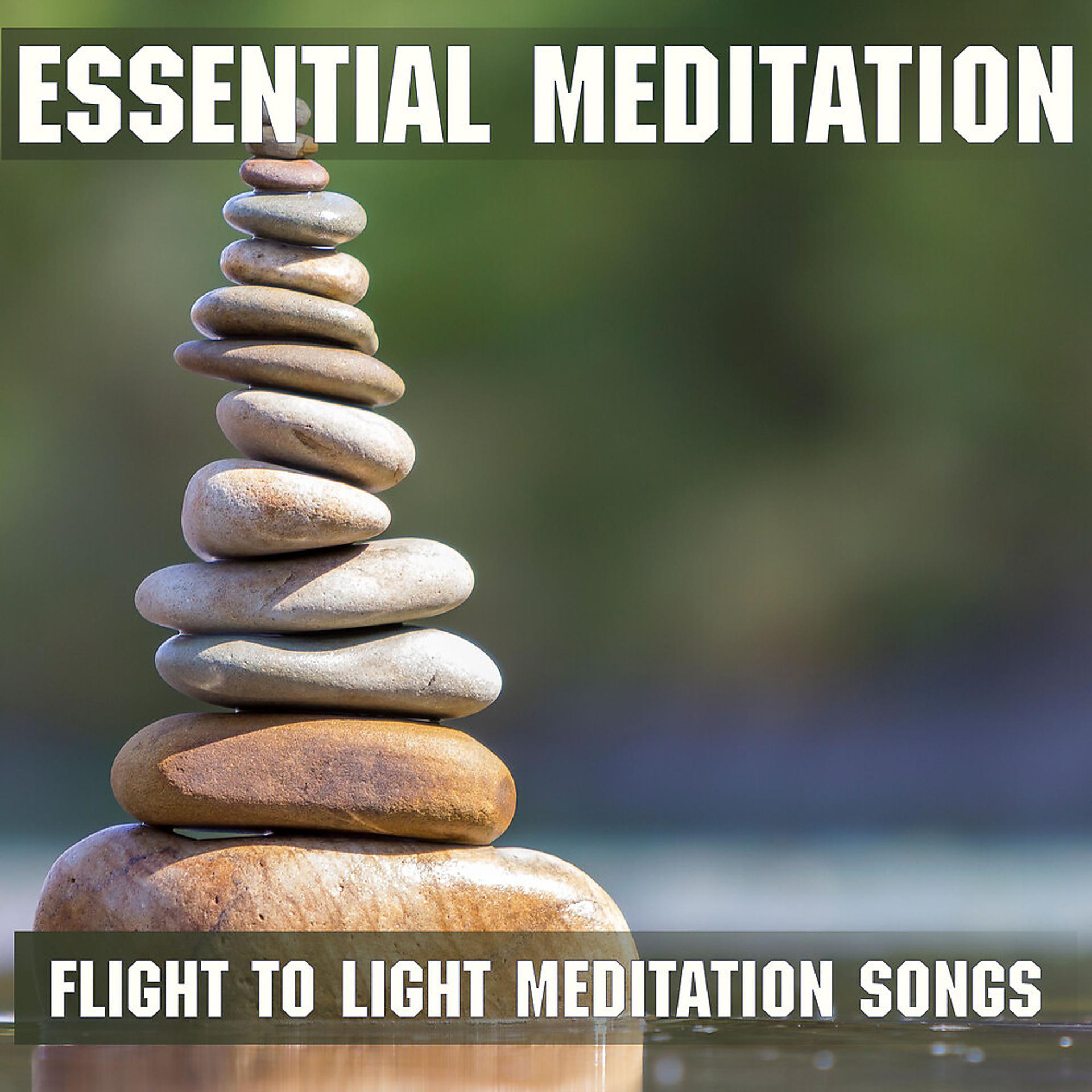 Постер альбома Flight to Light Meditation Songs
