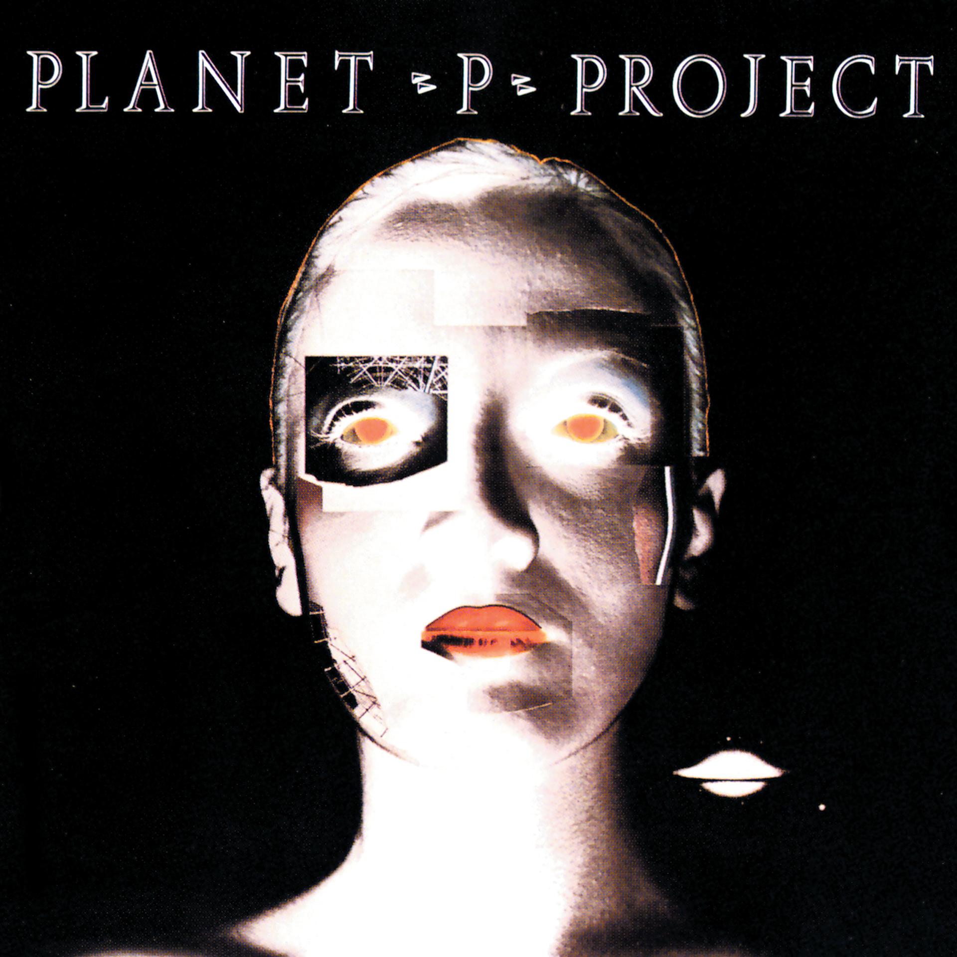 Постер альбома Planet P Project