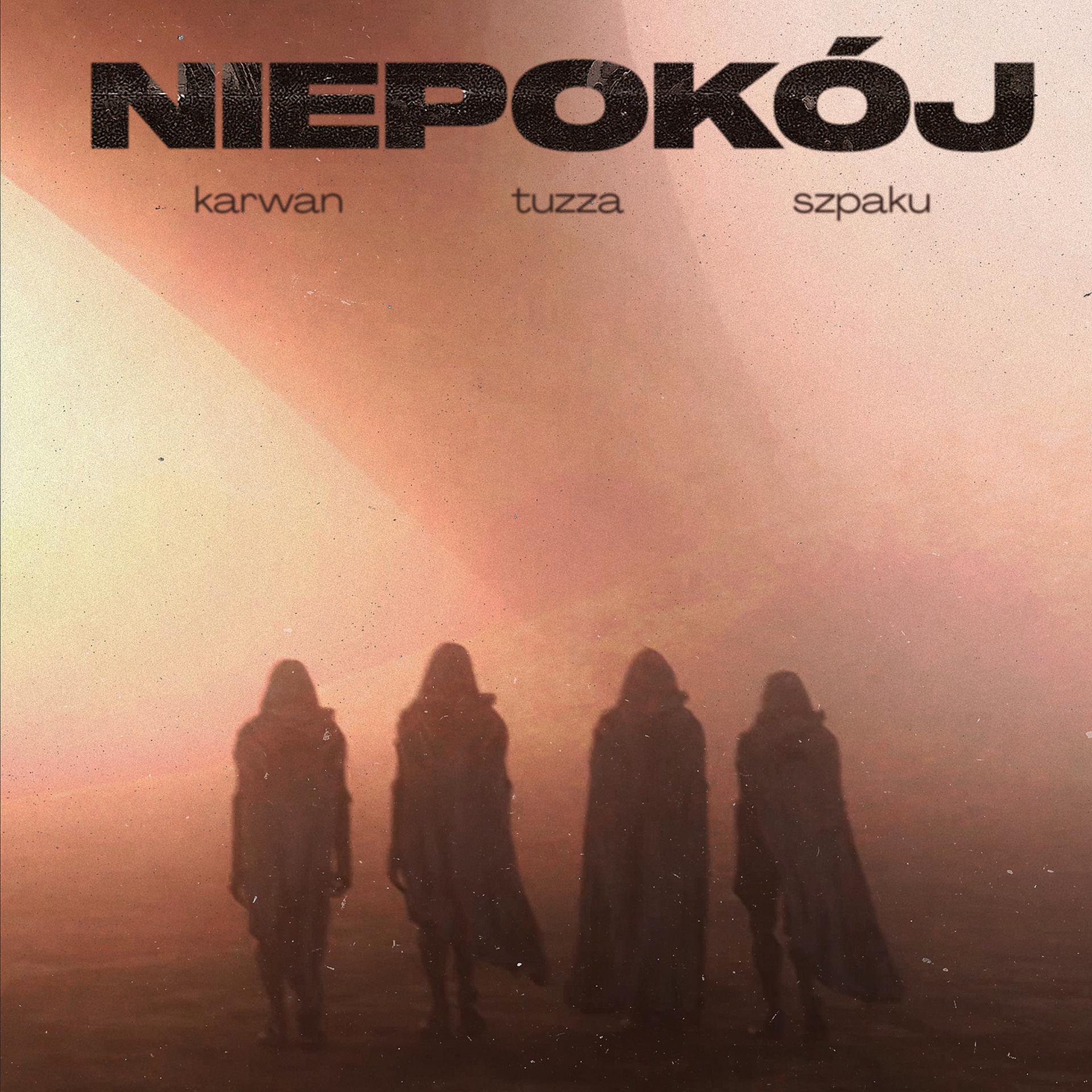 Постер альбома Niepokój