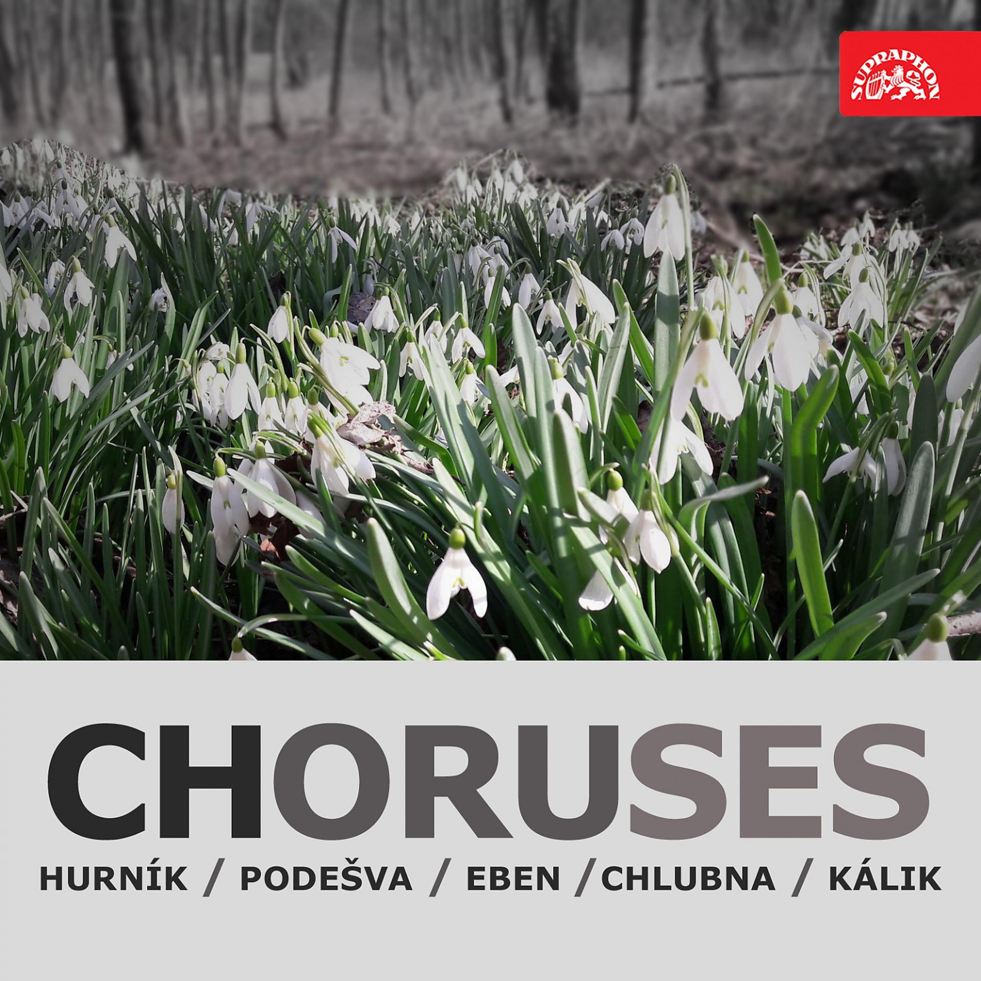 Постер альбома Choruses