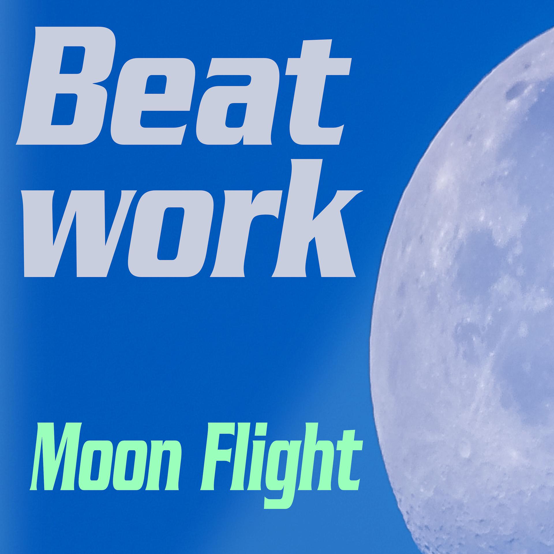 Постер альбома Moon Flight