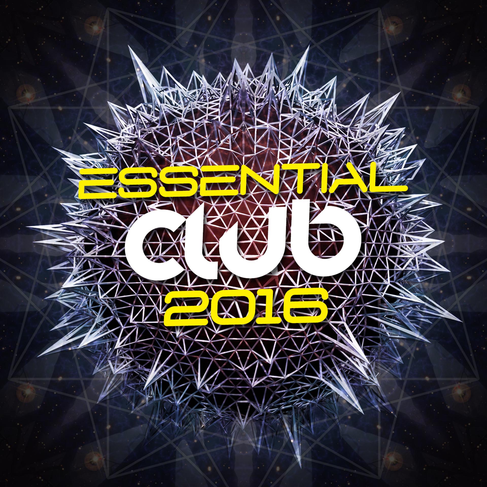 Постер альбома Essential Club 2016