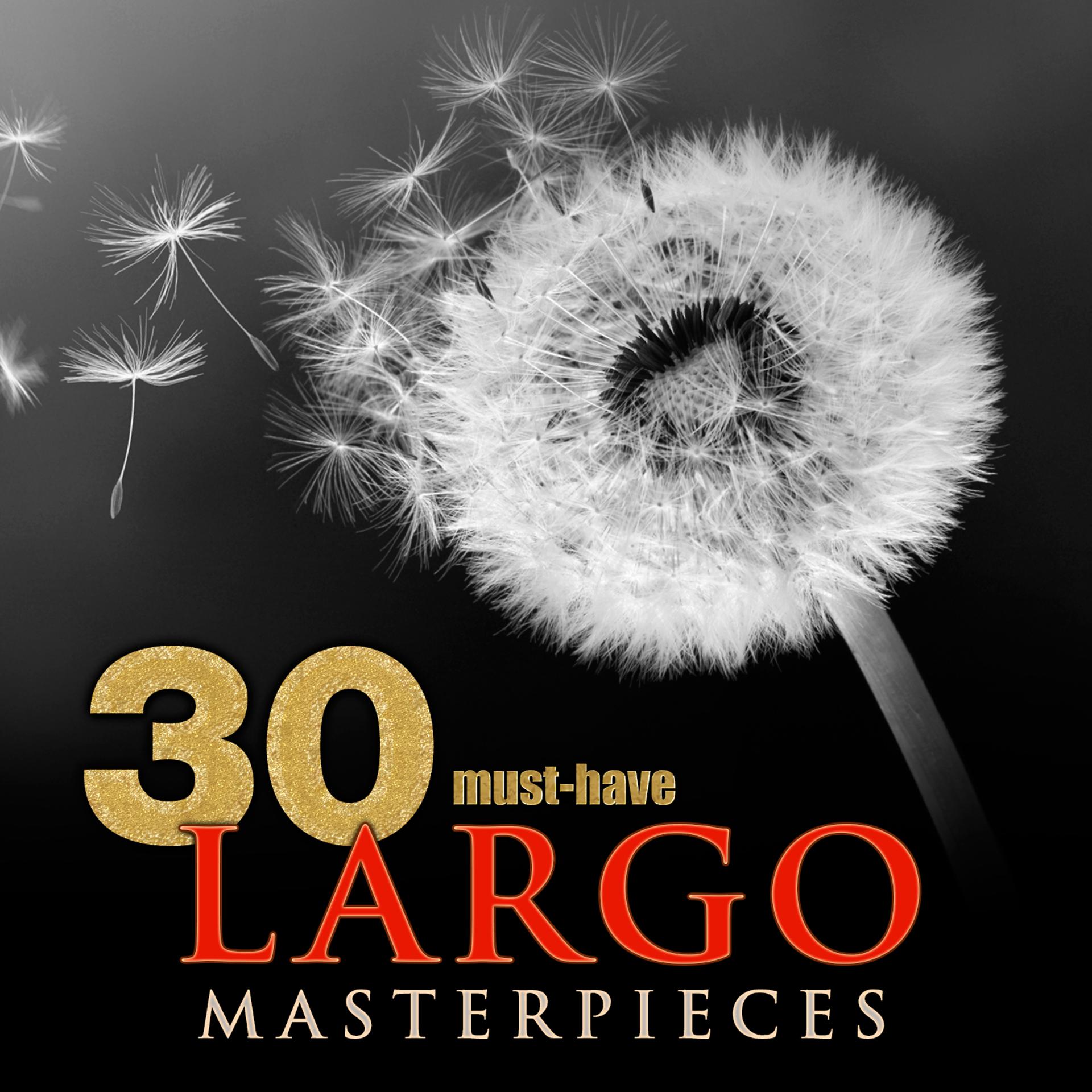Постер альбома 30 Must-Have Largo Masterpieces