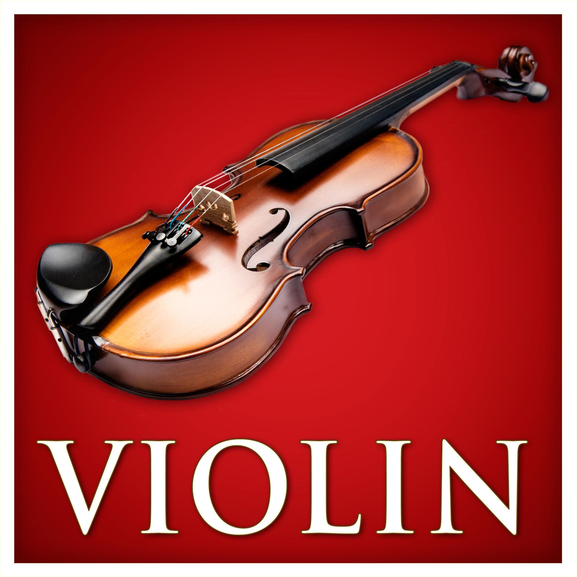 Постер альбома Violin
