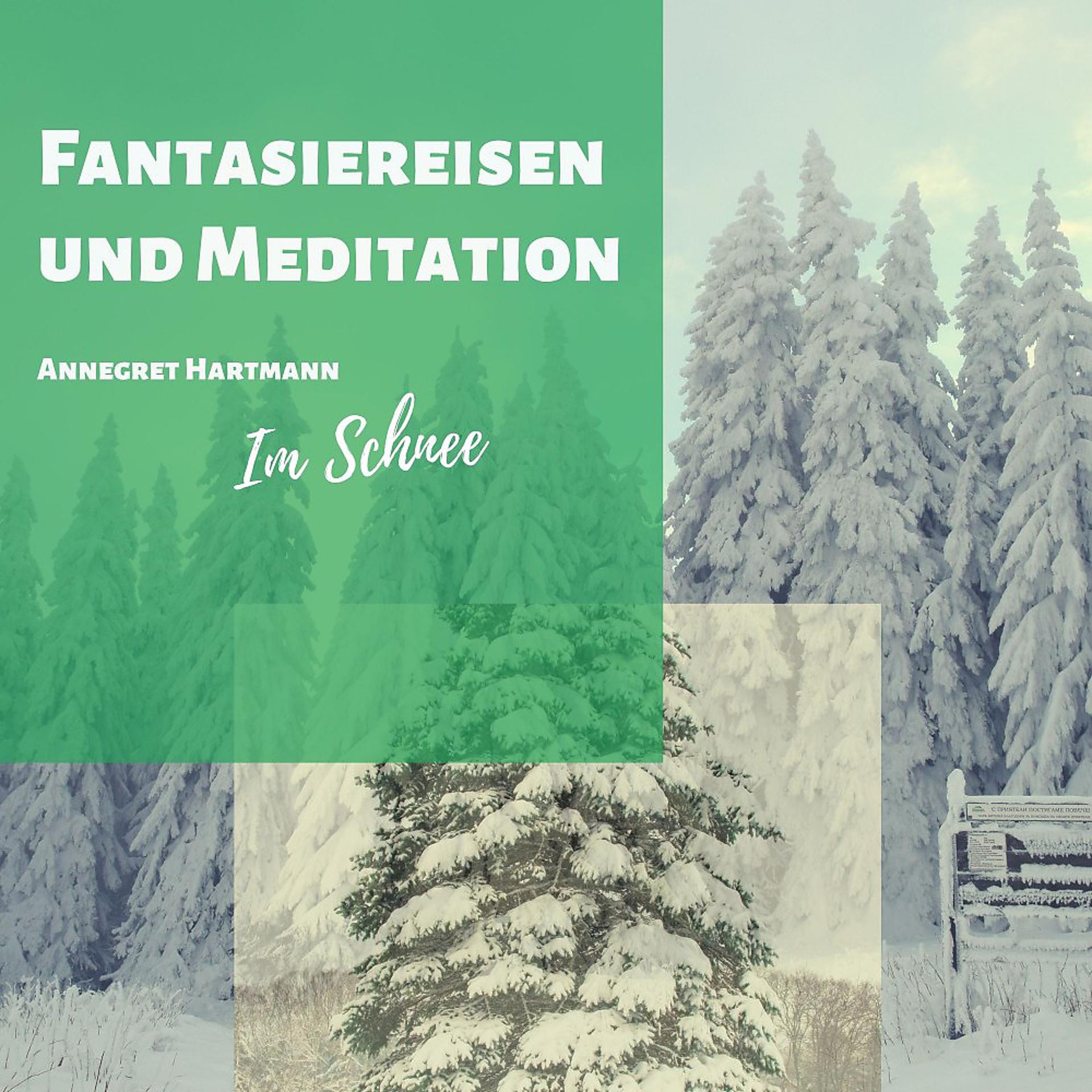 Постер альбома Fantasiereisen und Meditation (Im Schnee)