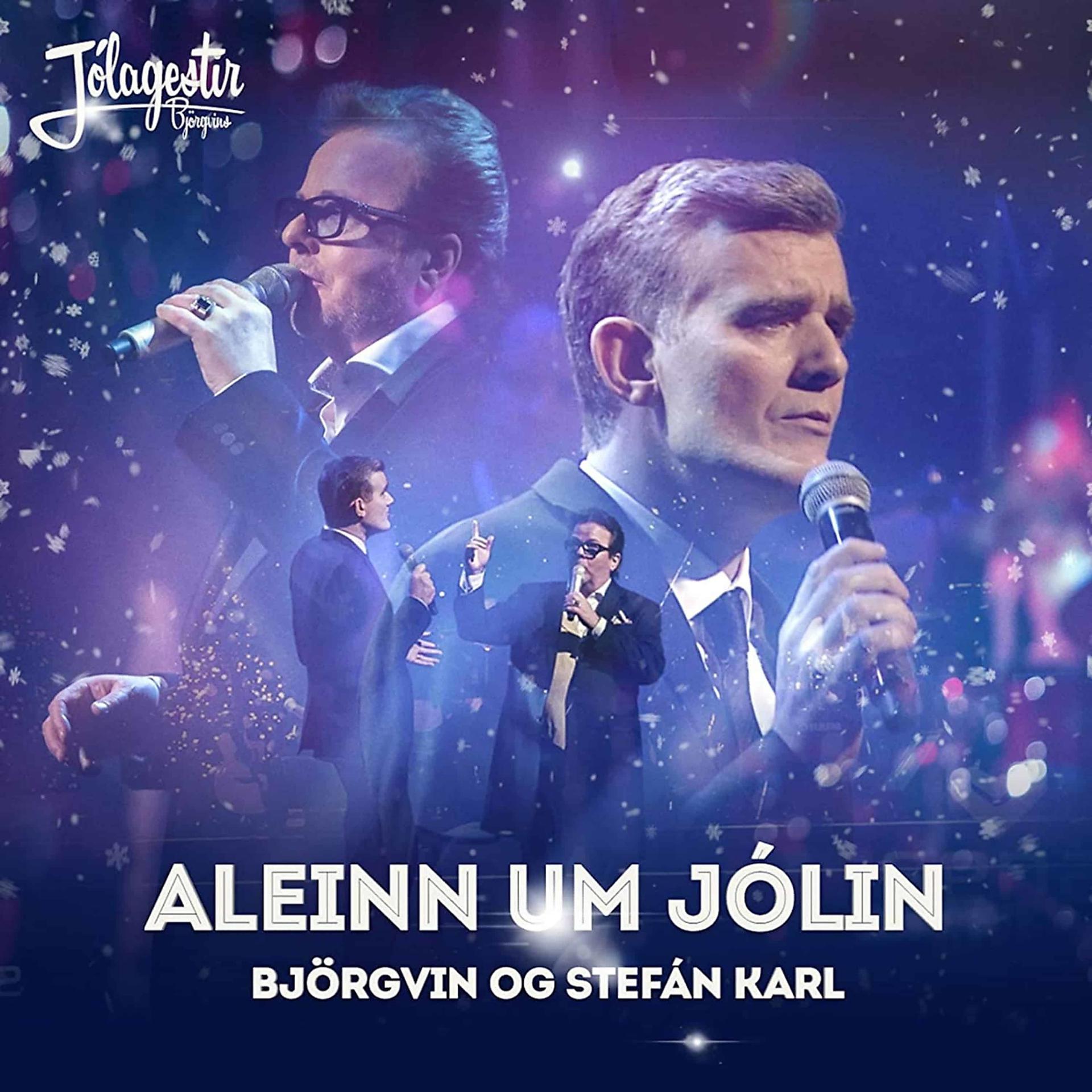 Постер альбома Aleinn um jólin