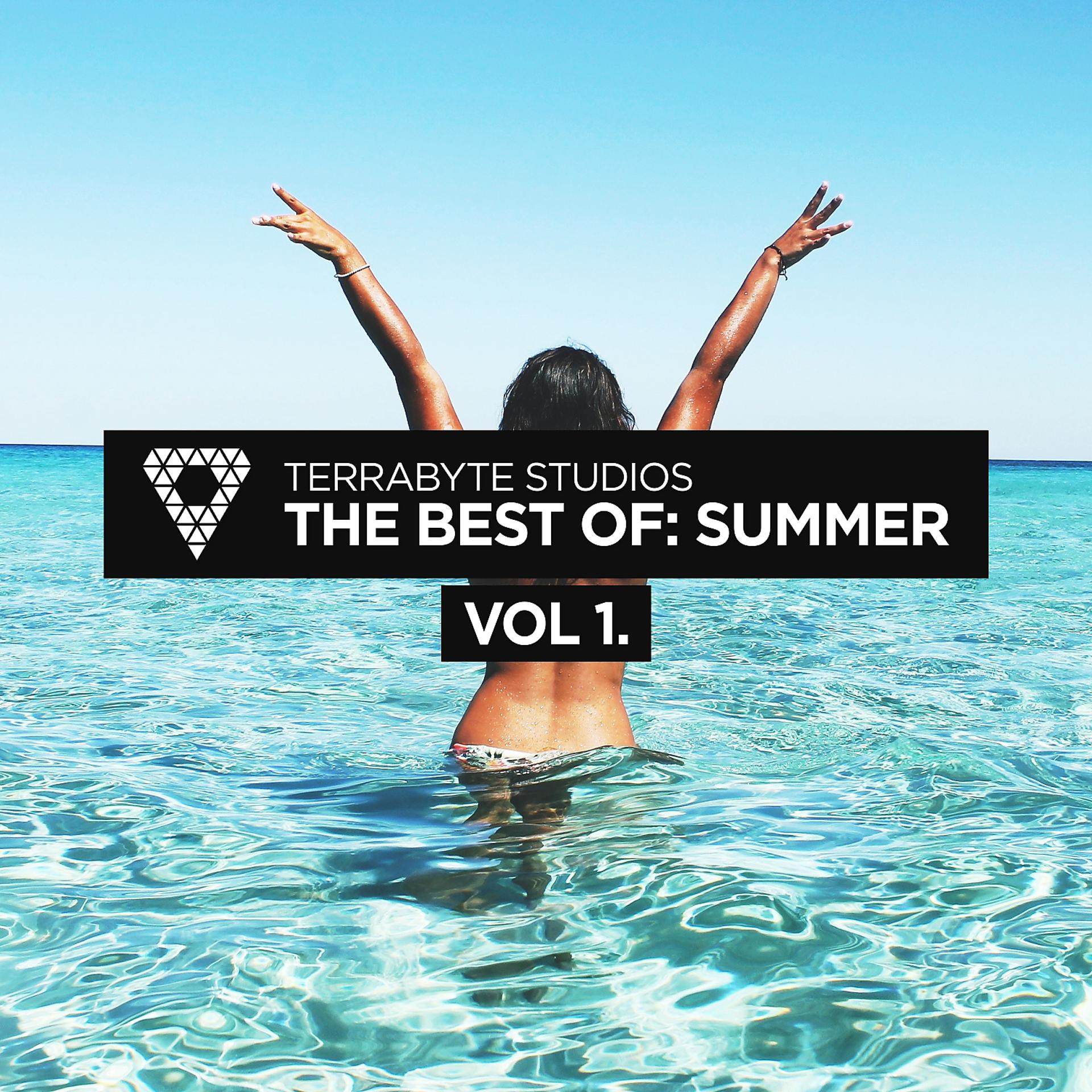 Постер альбома Terrabyte Studios: The Best of Summer, Vol. 1