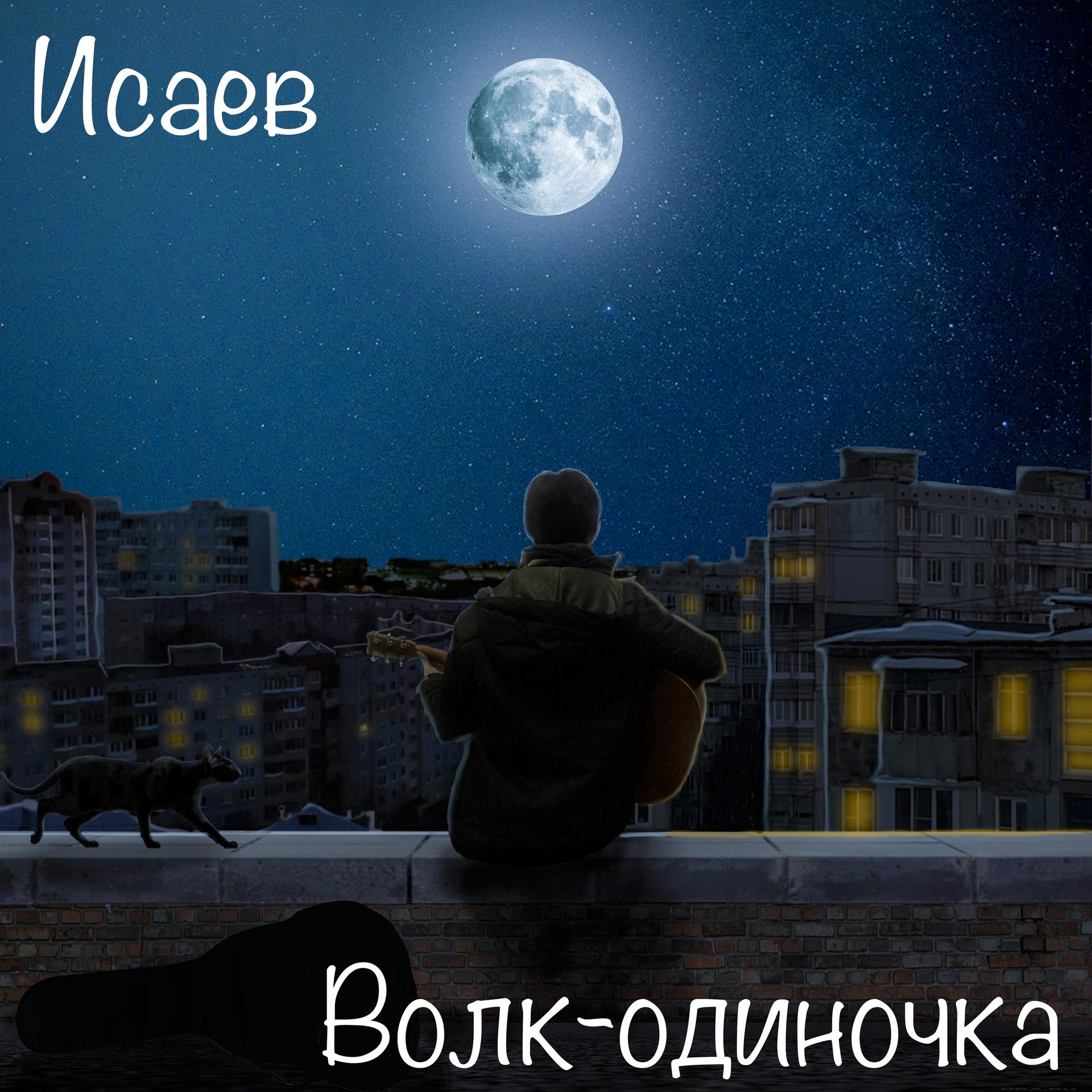Постер альбома Волк-одиночка