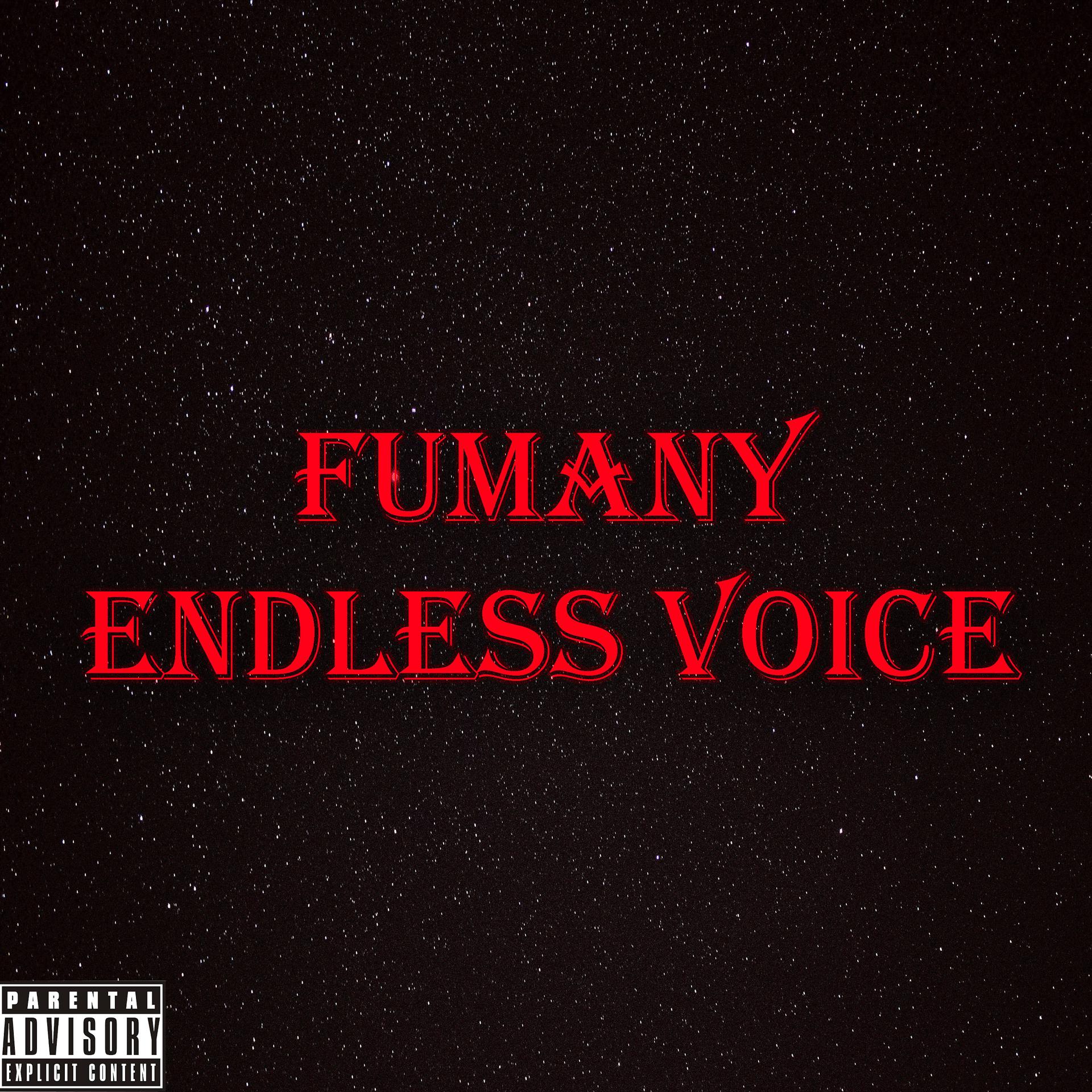 Постер альбома Endless Voice