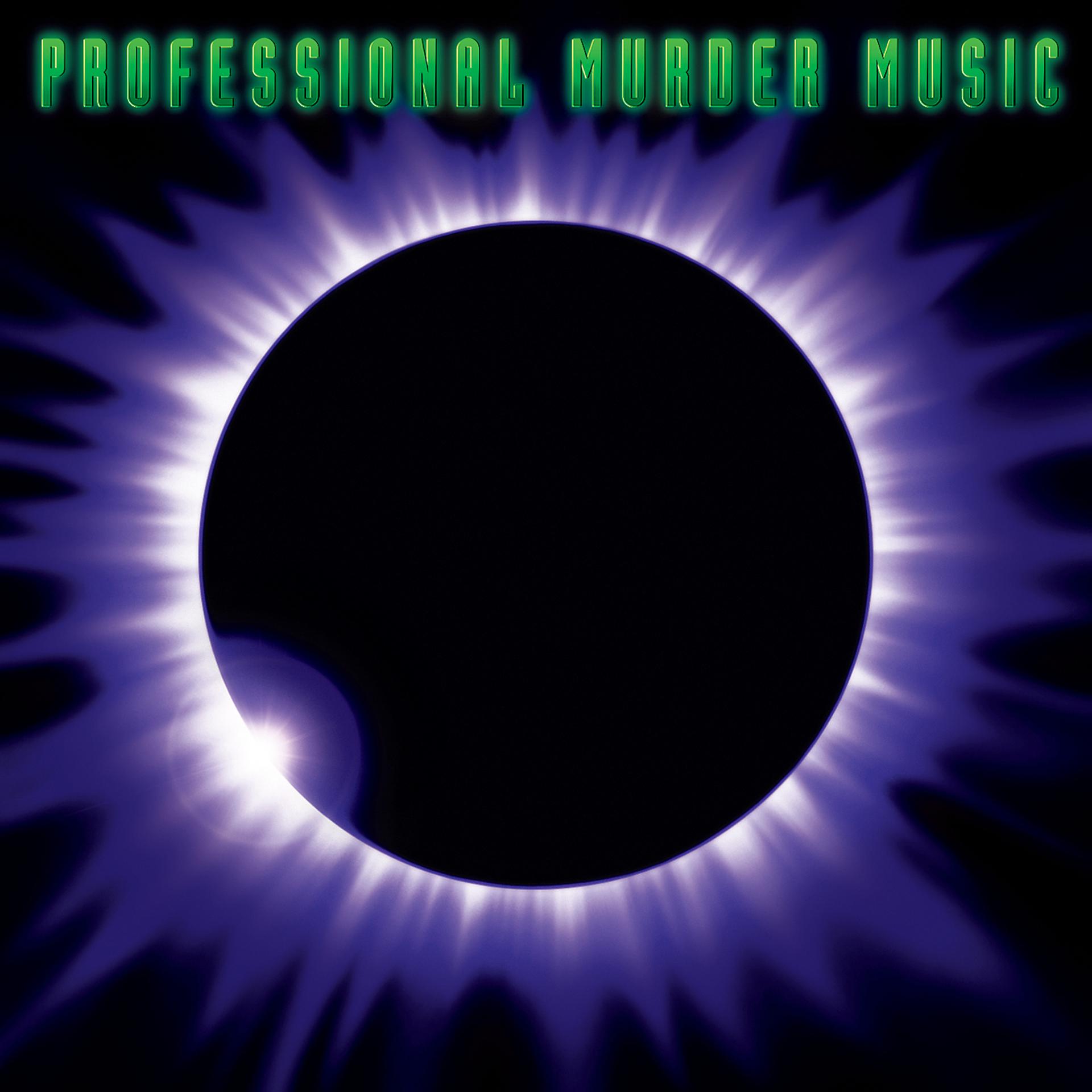 Постер альбома Professional Murder Music
