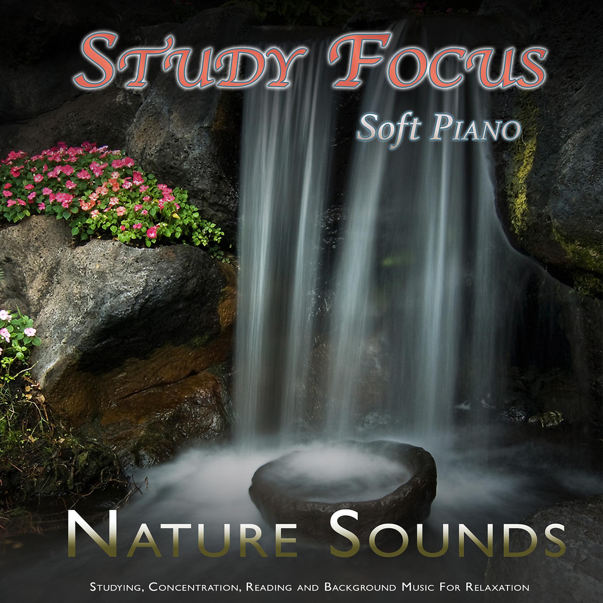 Постер альбома Study Focus: Soft Piano and Nature Sounds For Studying, Concentration, Reading and Background Music For Relaxation