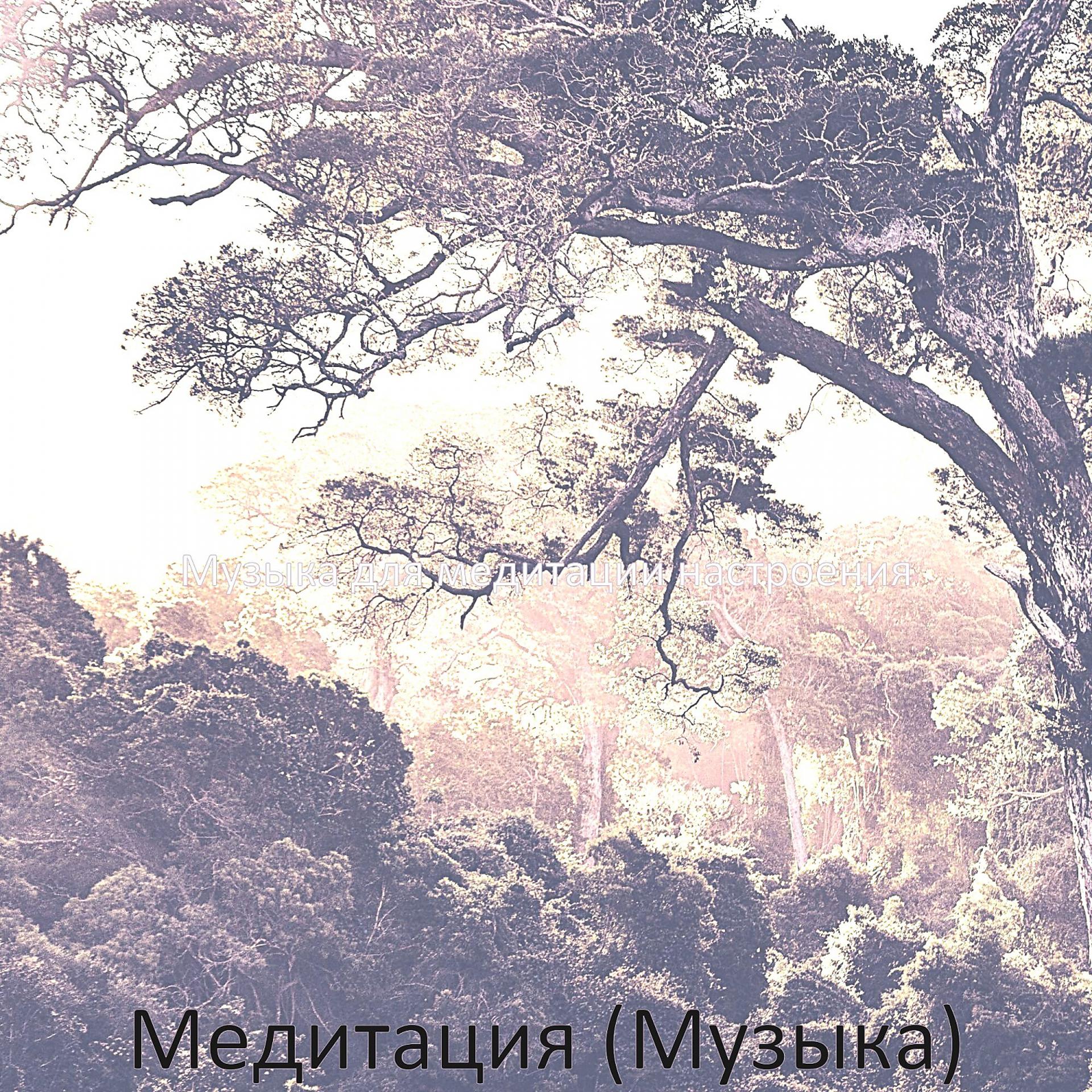 Постер альбома Медитация (Музыка)