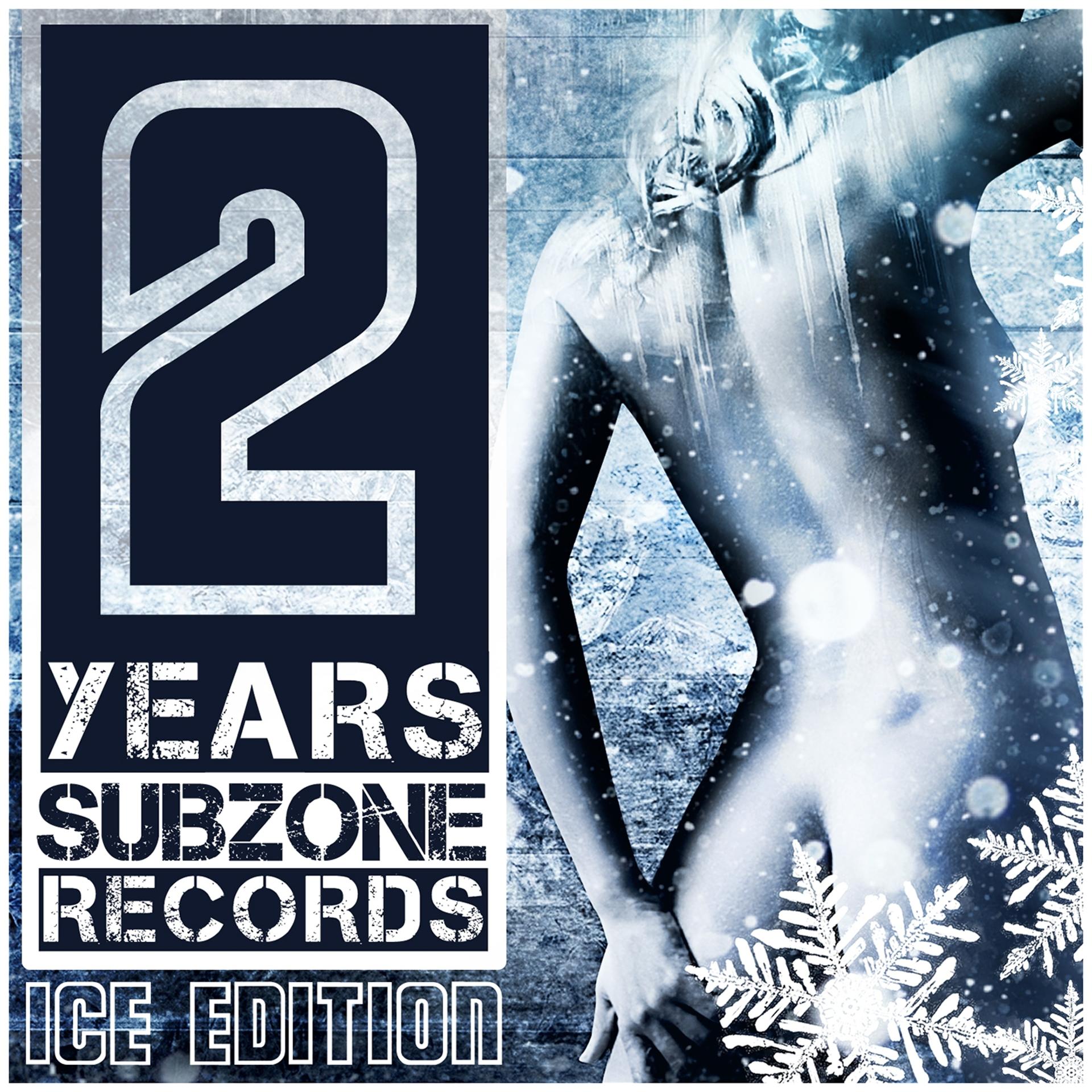 Постер альбома 2 Years Subzone Records Ice Edition