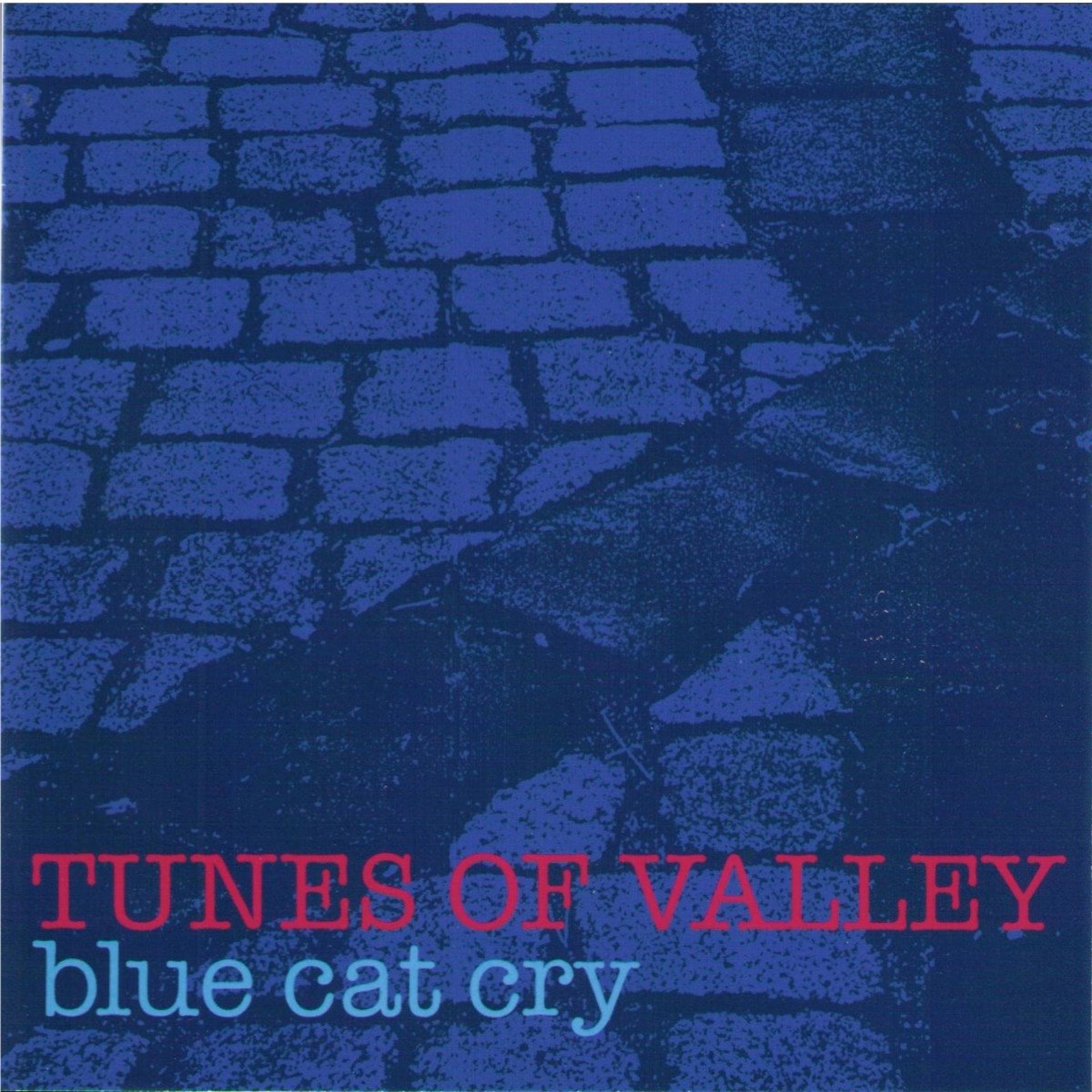 Постер альбома Blue Cat Cry