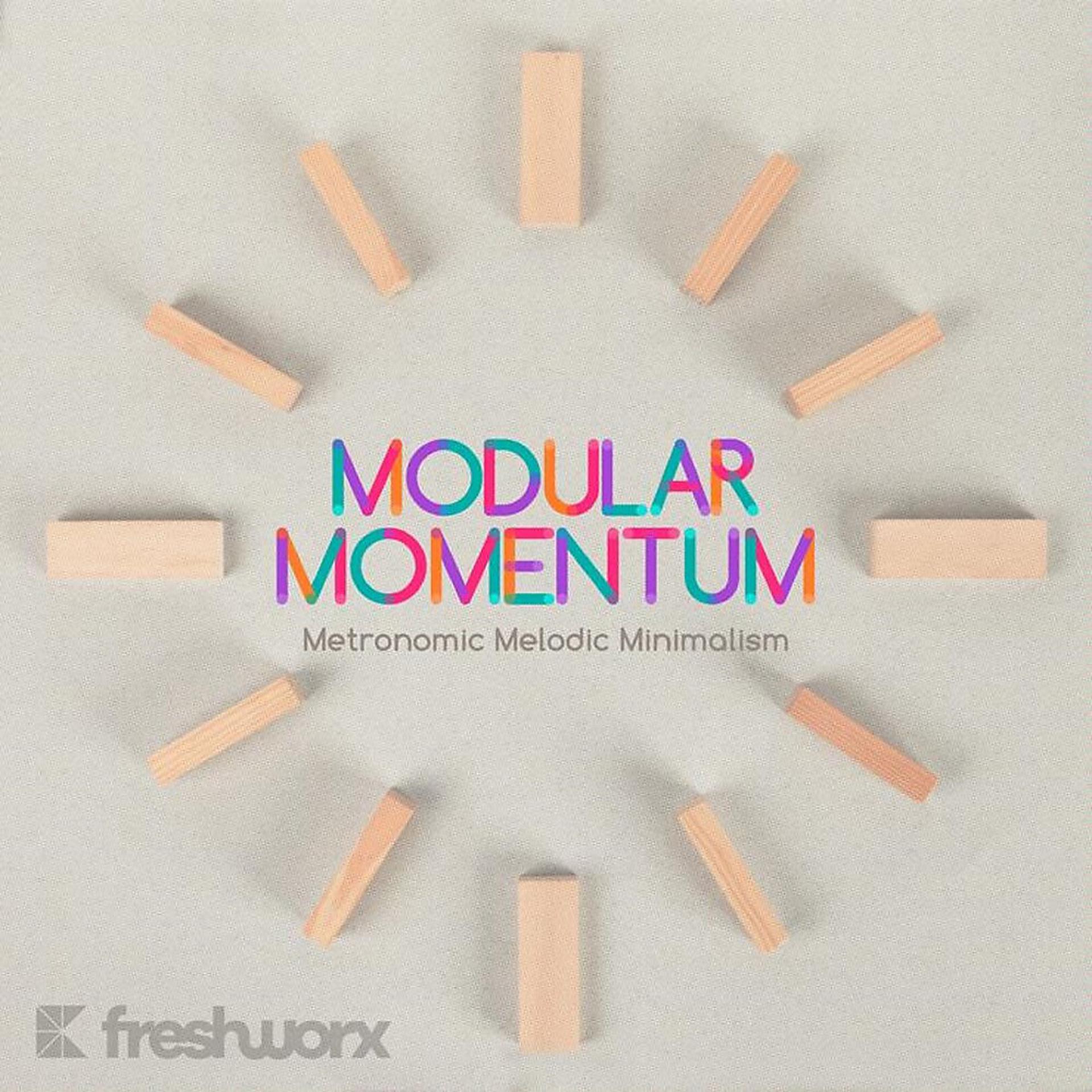 Постер альбома Modular Momentum
