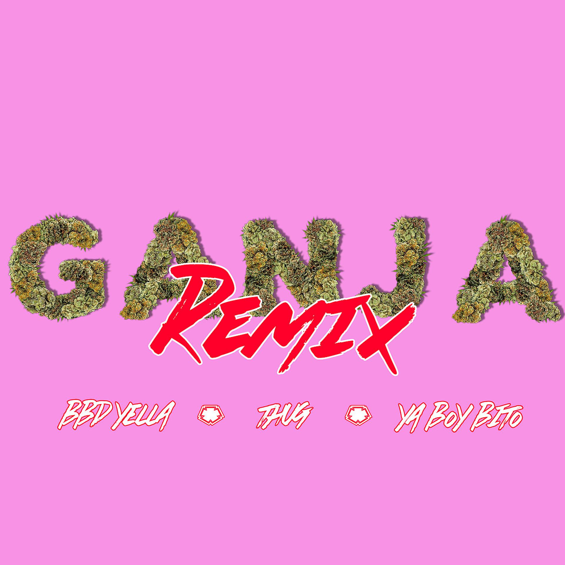 Постер альбома Ganja Remix