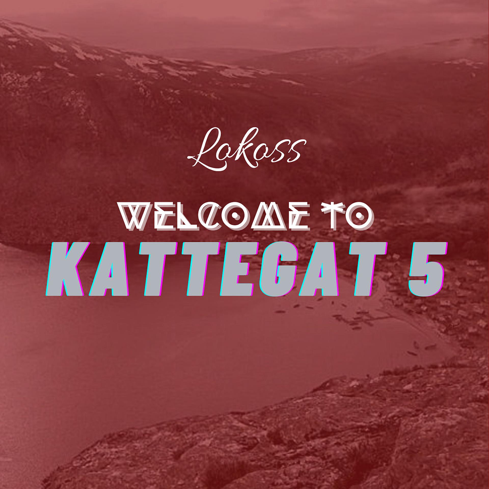 Постер альбома Welcome to kattegat 5