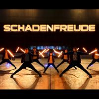 Постер альбома Schadenfreude