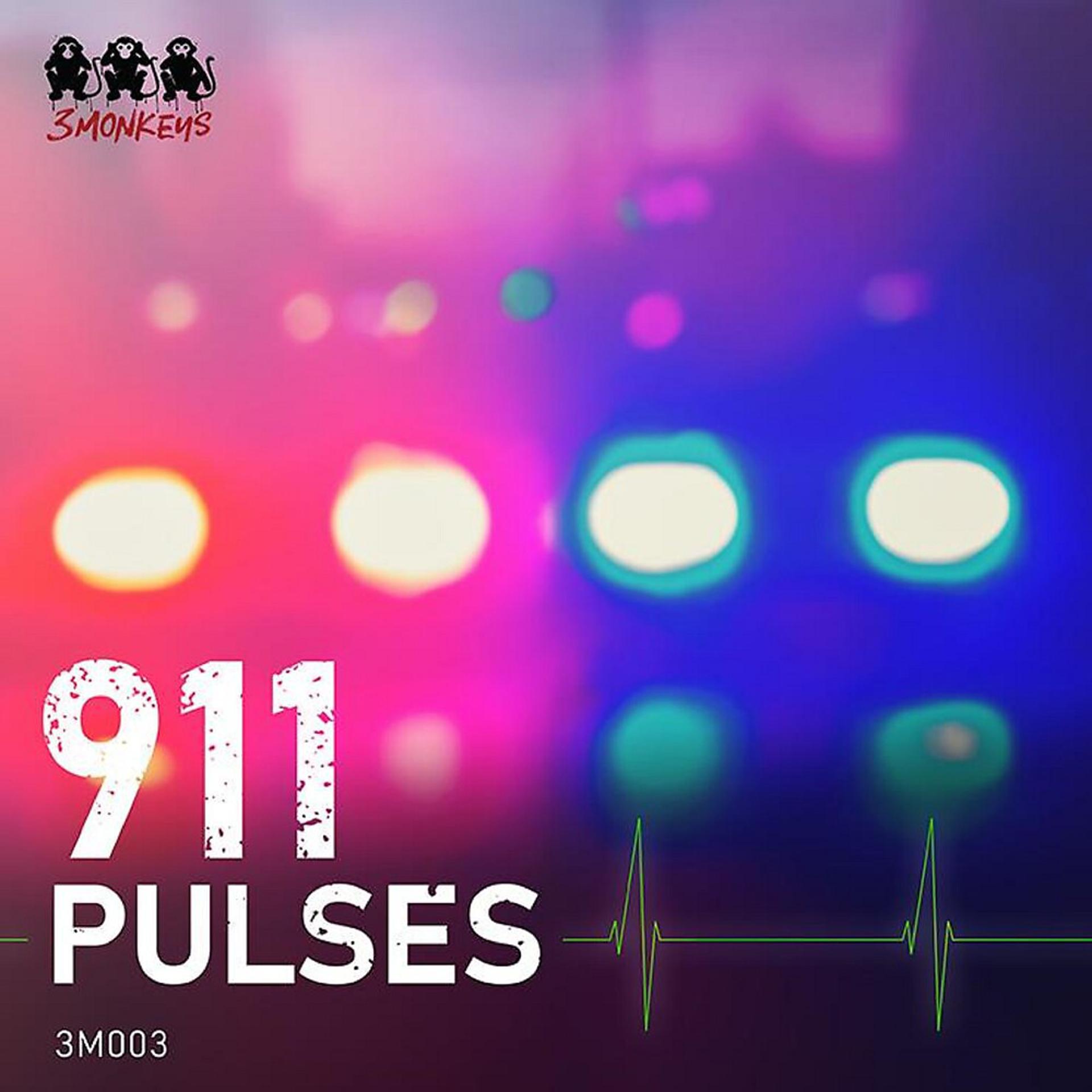 Постер альбома 911: Pulses