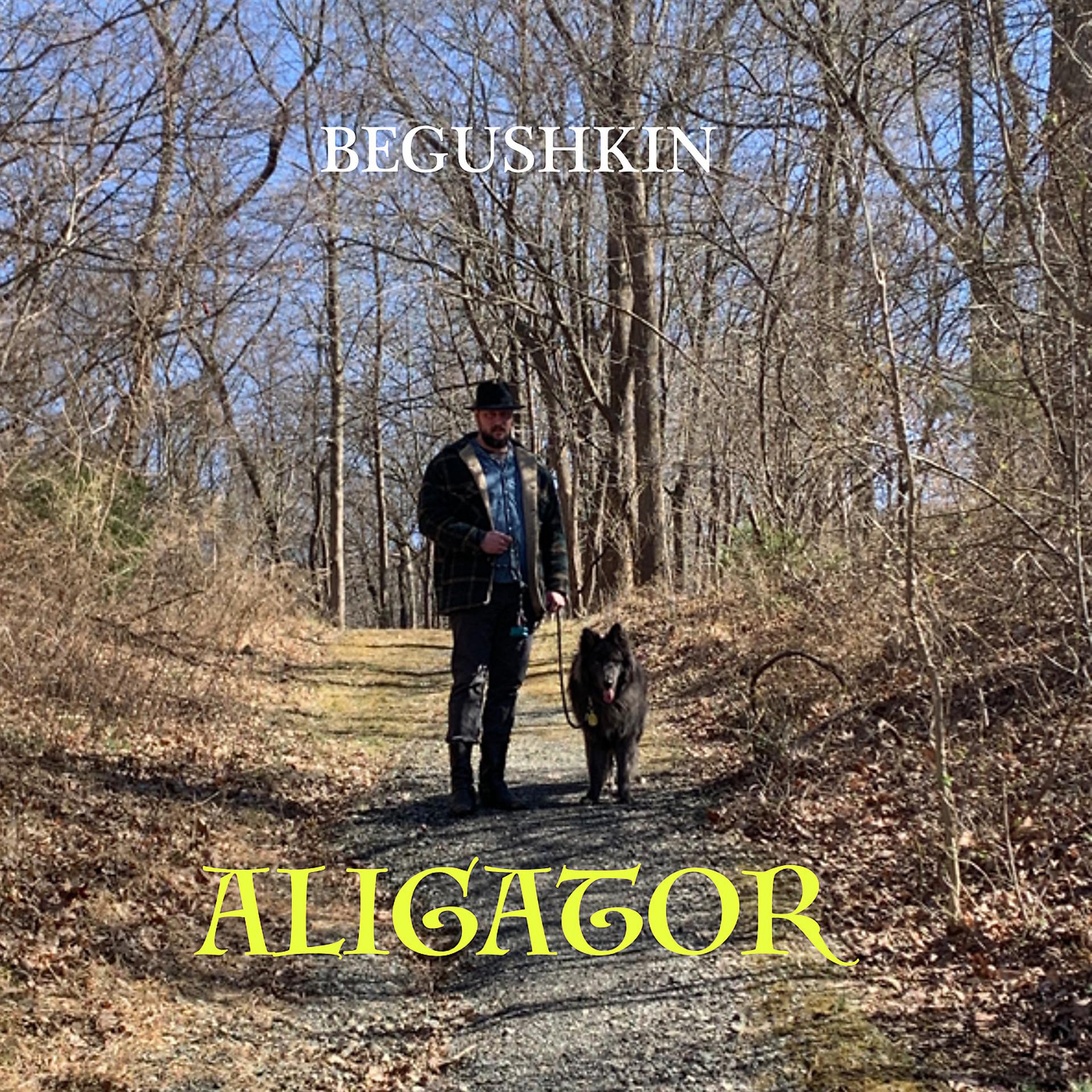 Постер альбома Aligator