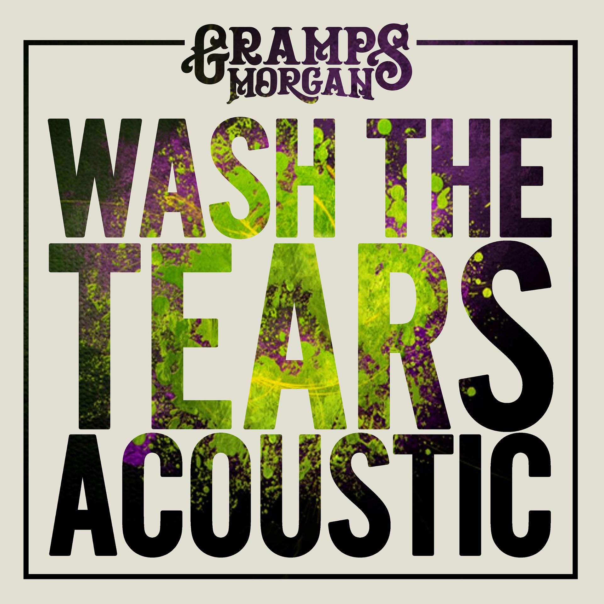 Постер альбома Wash the Tears (Acoustic)