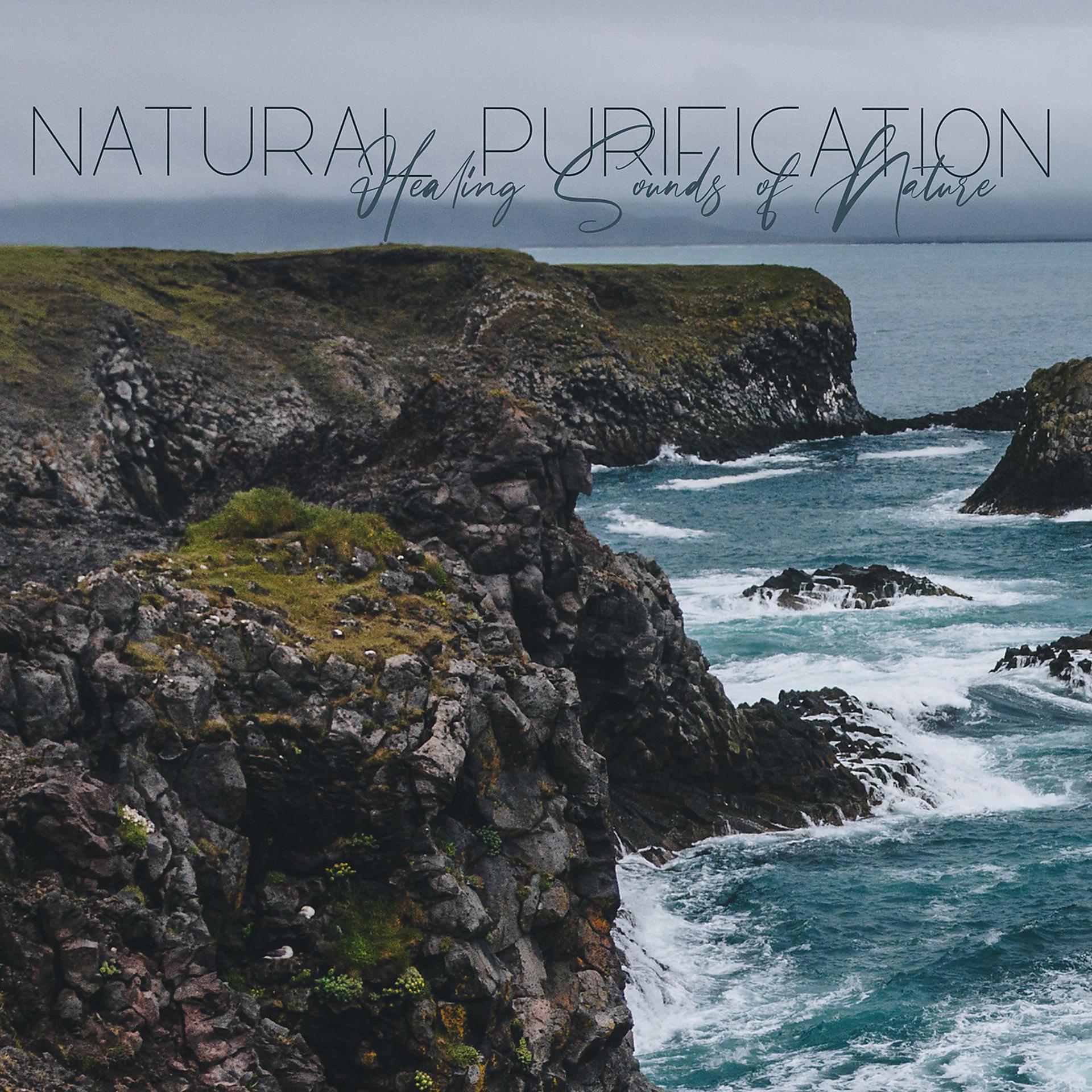 Постер альбома Natural Purification