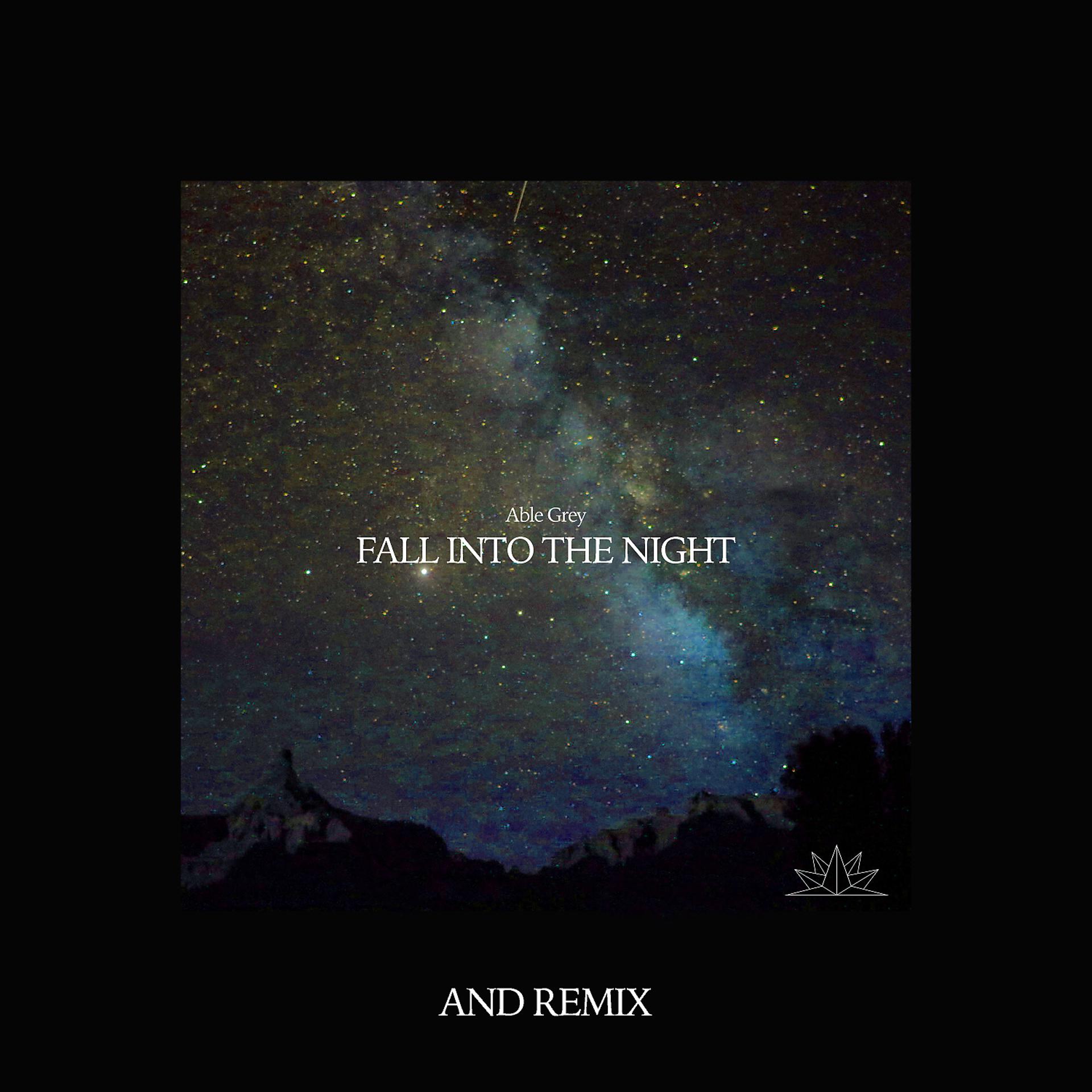 Постер альбома Fall Into The Night (and Remix)