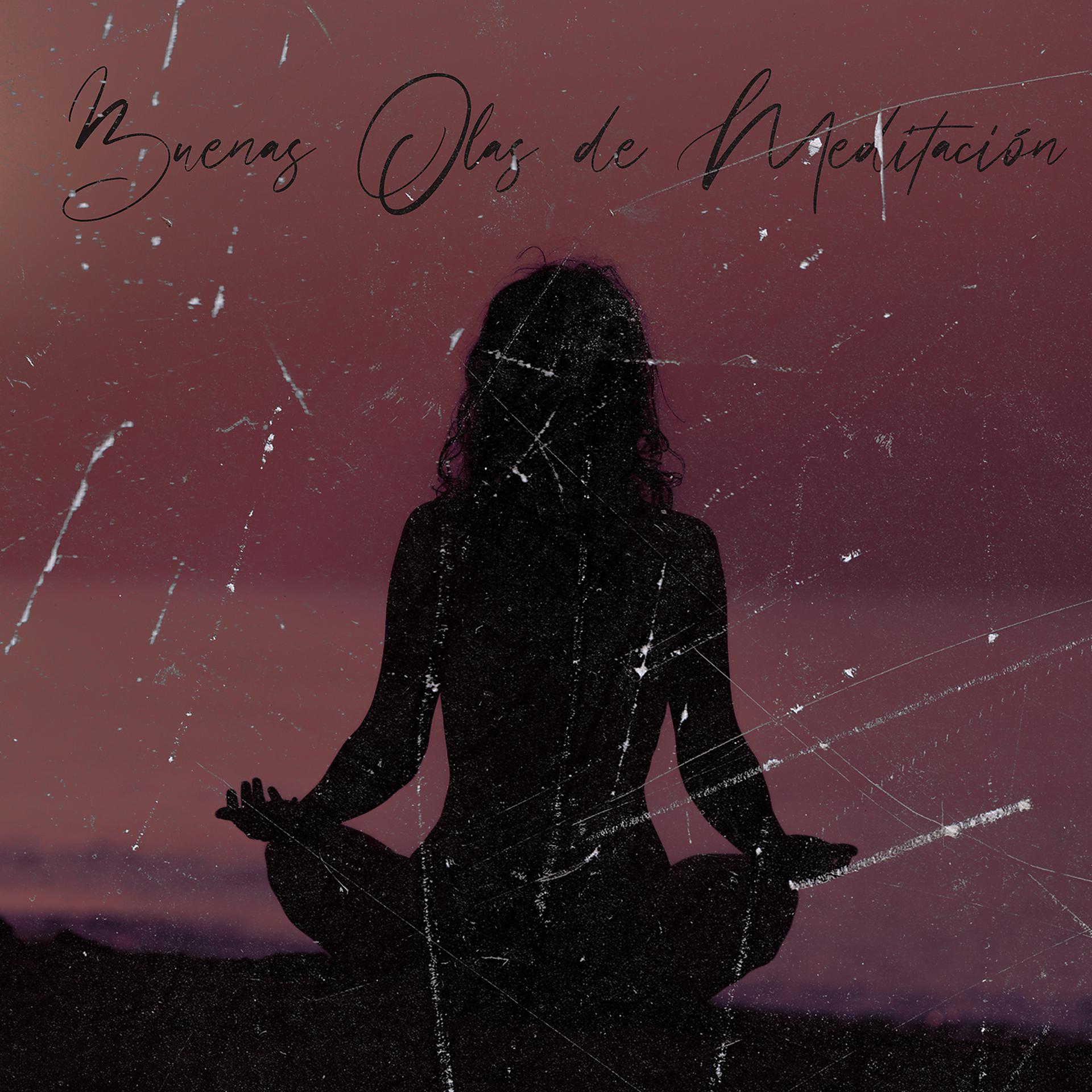 Постер альбома Buenas Olas de Meditacion: Equilibrio Zen, Calma Espiritual, Poder de la Meditacion, Tratamiento Musical Para la Ansiedad y Aliviar el Estrés
