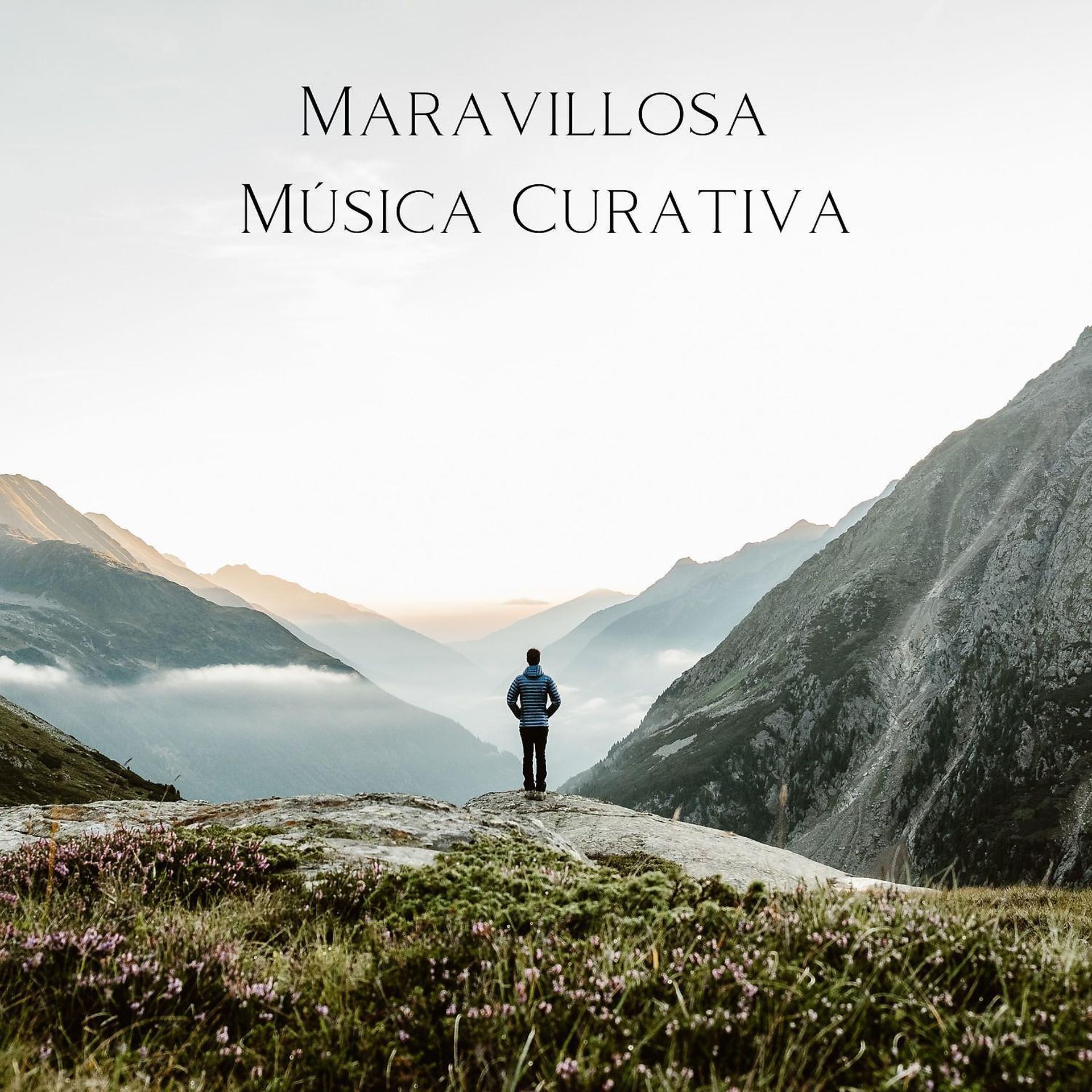 Постер альбома Maravillosa Música Curativa: Calmar la Mente y Aliviar los Trastornos Nerviosos, Energía Positiva