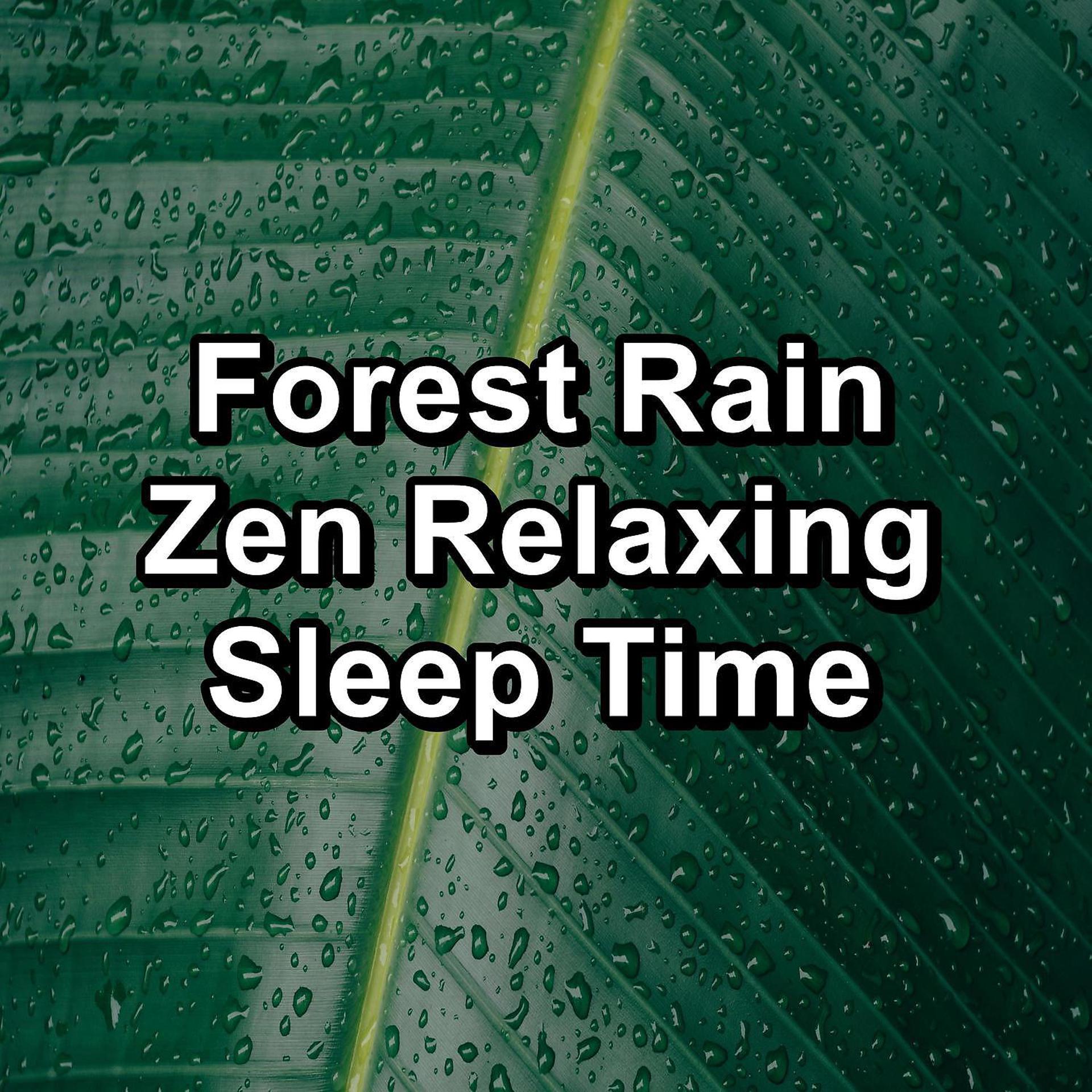 Постер альбома Forest Rain Zen Relaxing Sleep Time