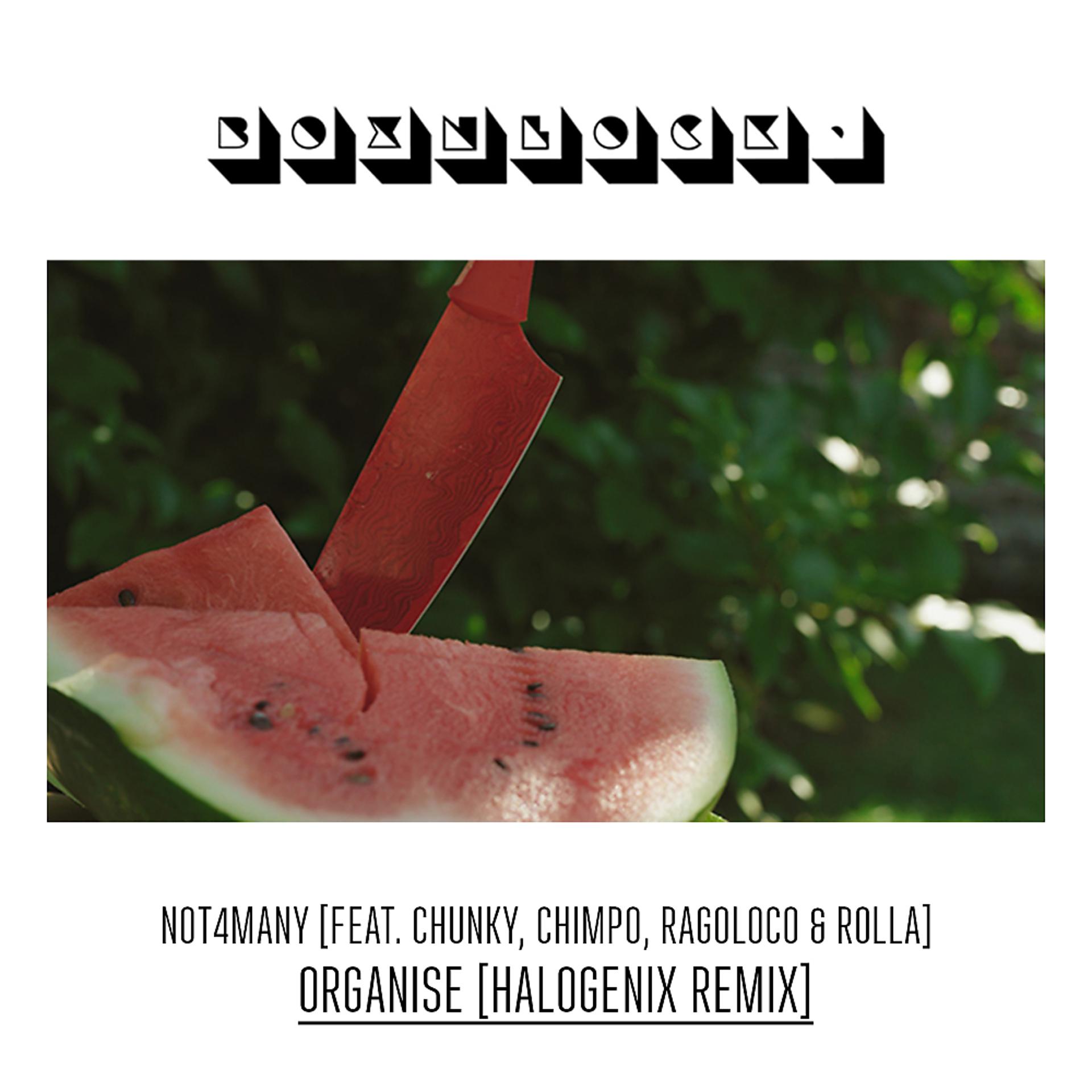 Постер альбома Organise (Halogenix Remix)
