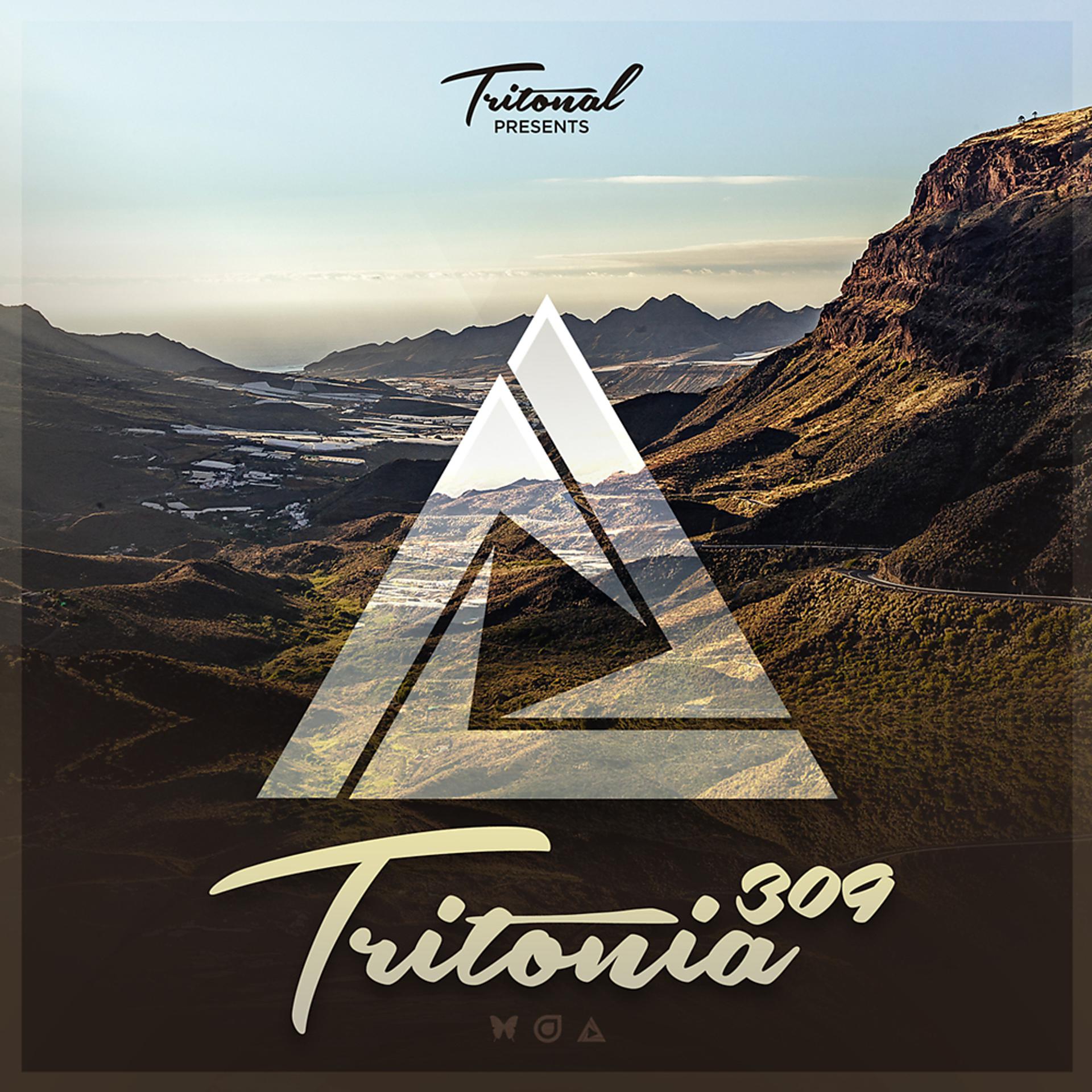 Постер альбома Tritonia 309